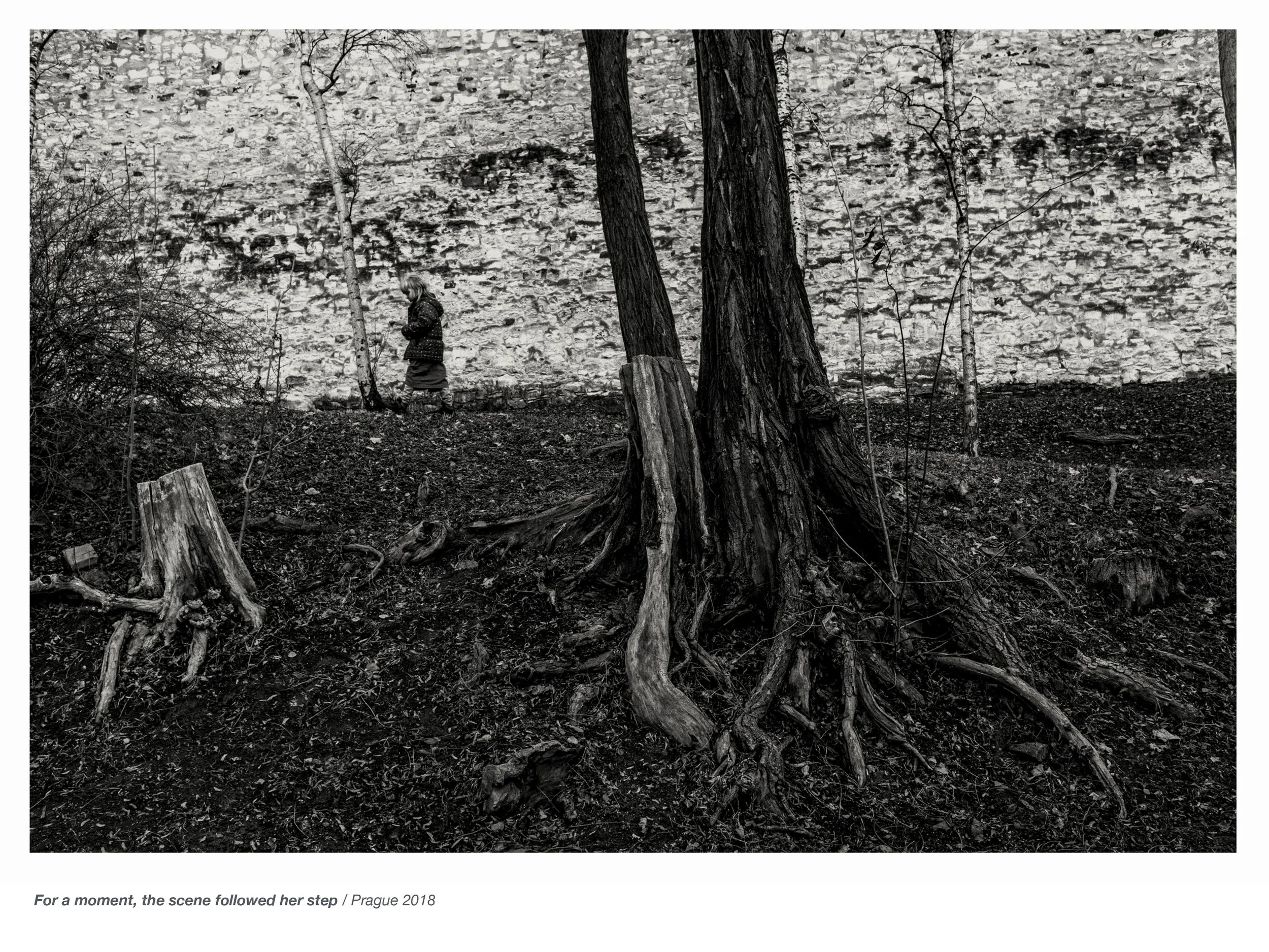 Observed Spaces Havlicek-29.jpg