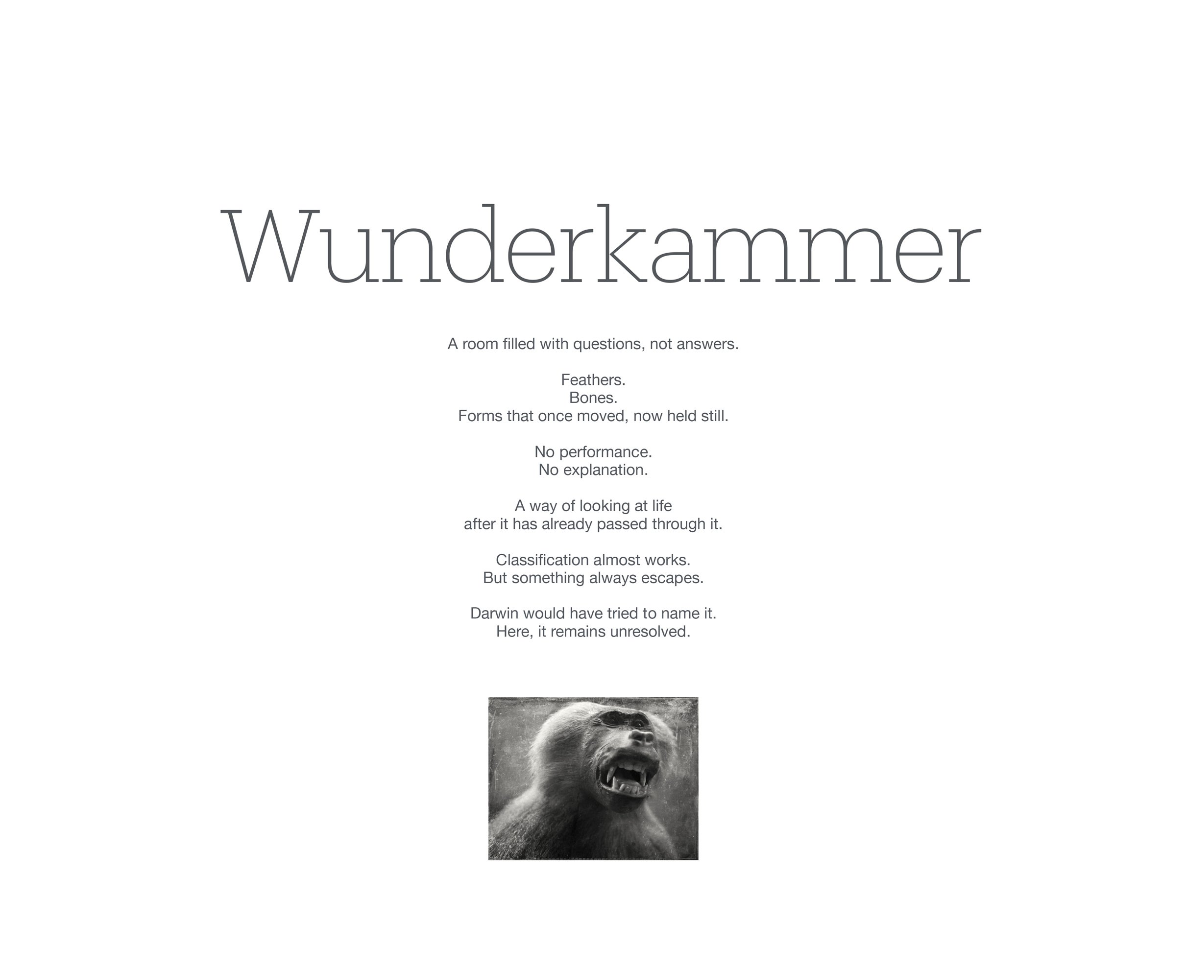 Wunderkammer P.Havlicek-1.jpg