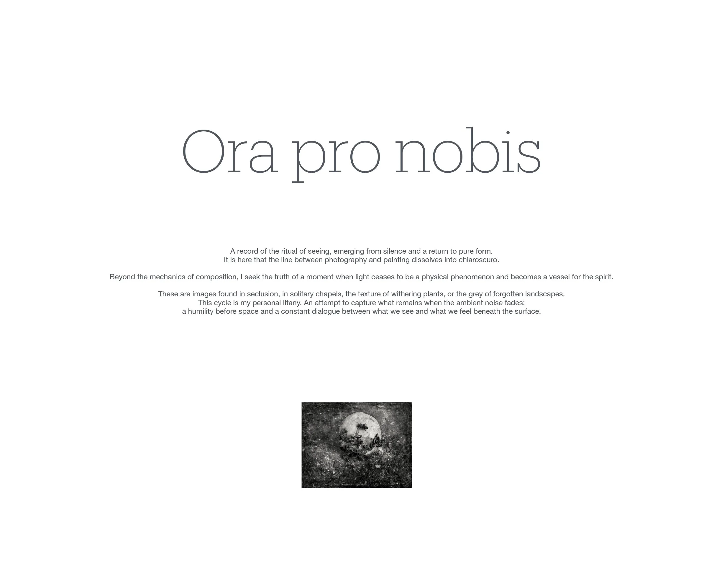 Ora pro nobis P.Havlicek-1.jpg