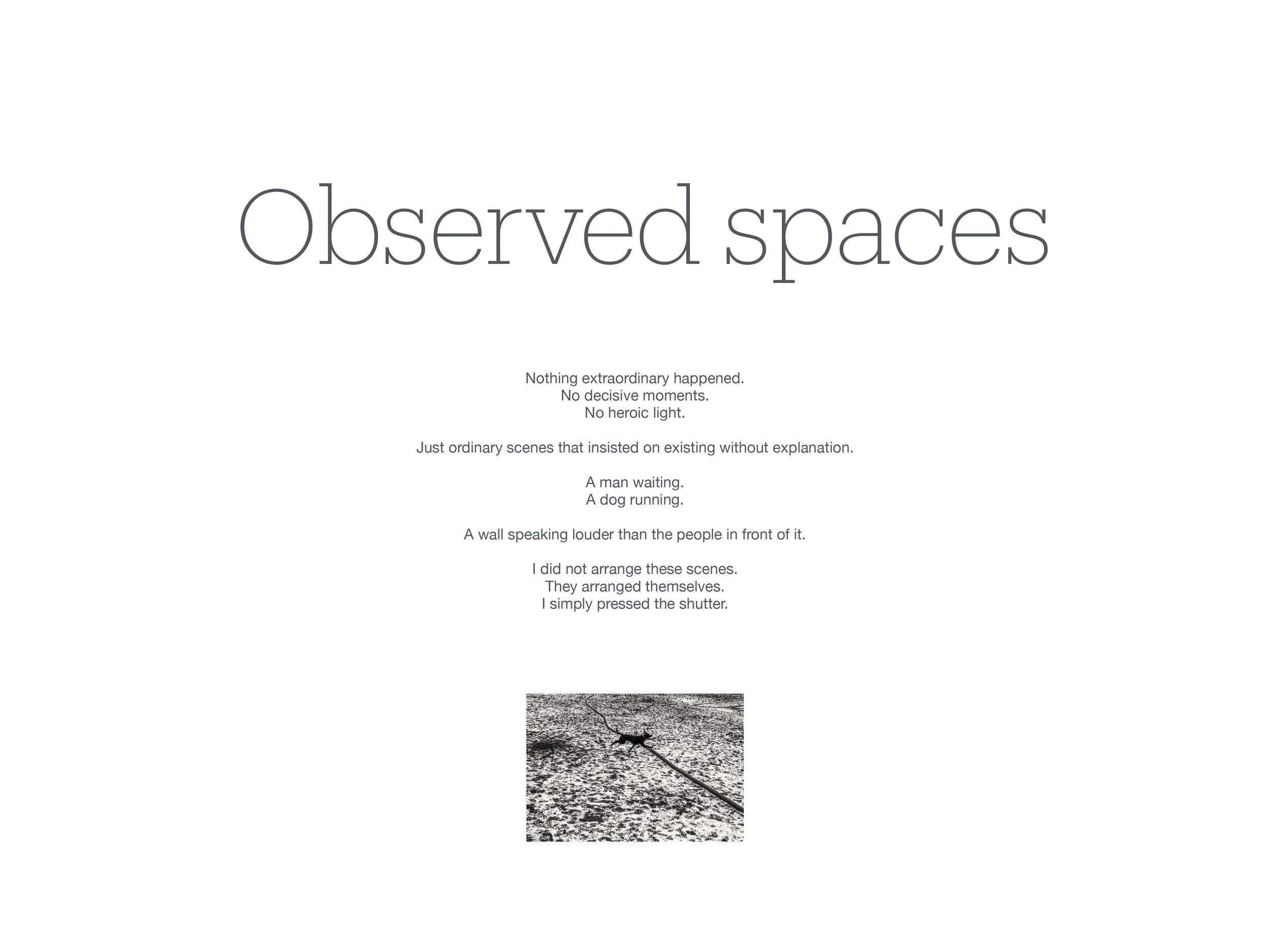 Observed Spaces Havlicek-1.jpg