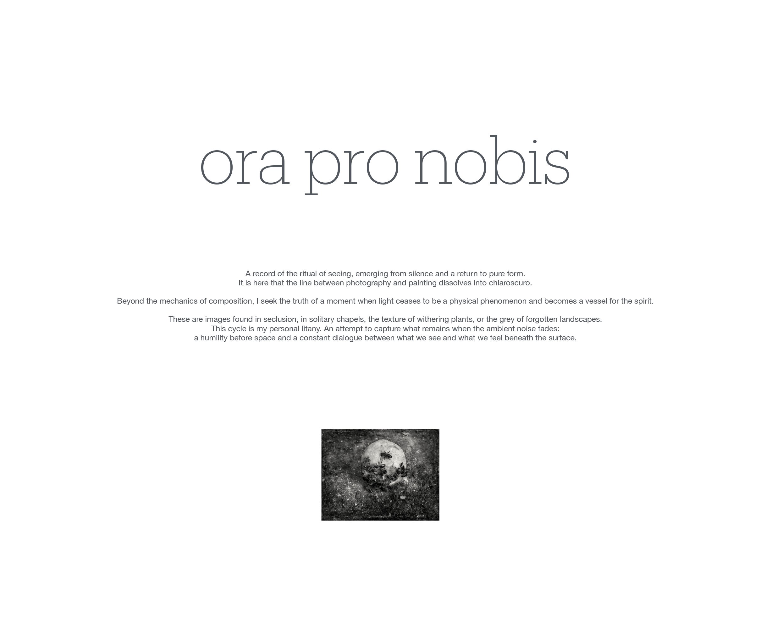 Ora pro nobis  copy 2-1.jpg