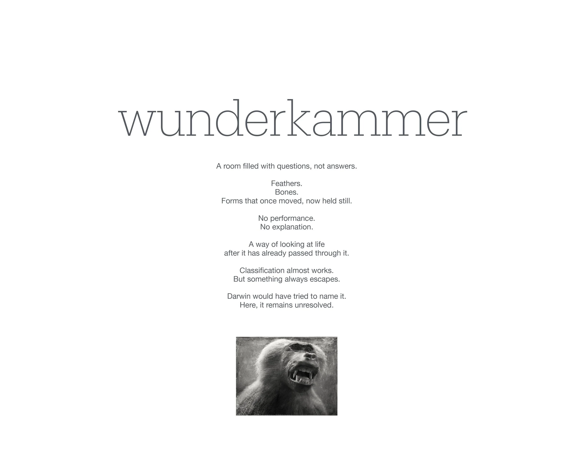 Wunderkammer P.Havlicek-1.jpg