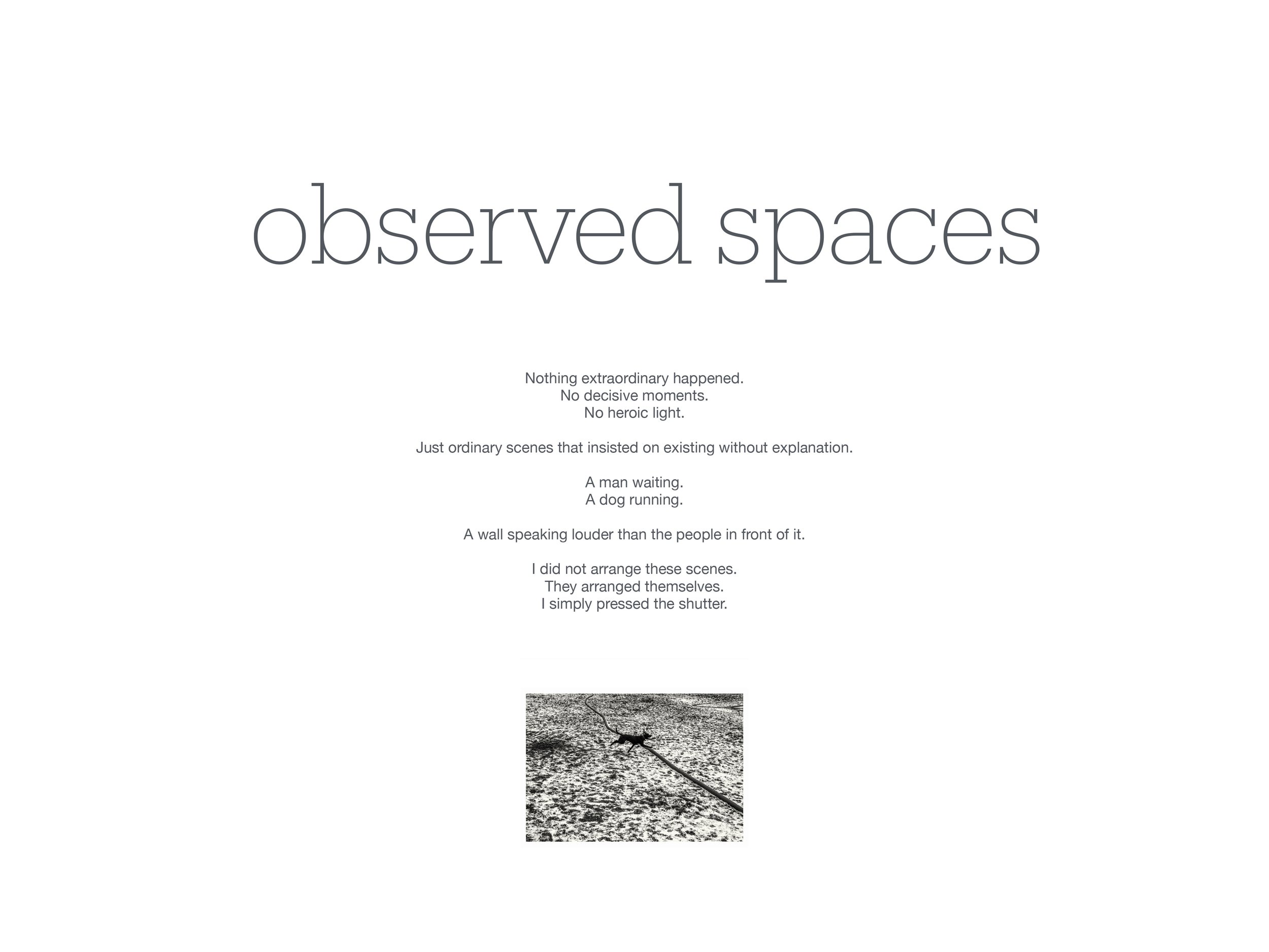 Observed Spaces Havlicek-1.jpg