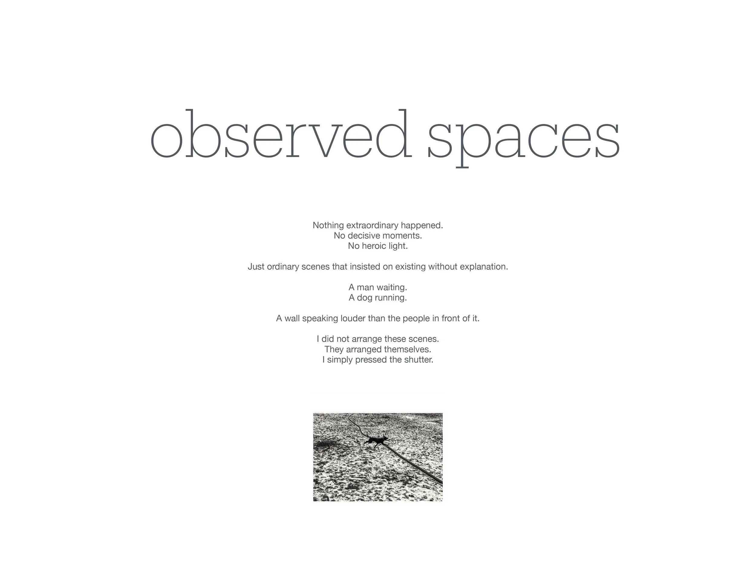 Observed Spaces Havlicek-1.jpg