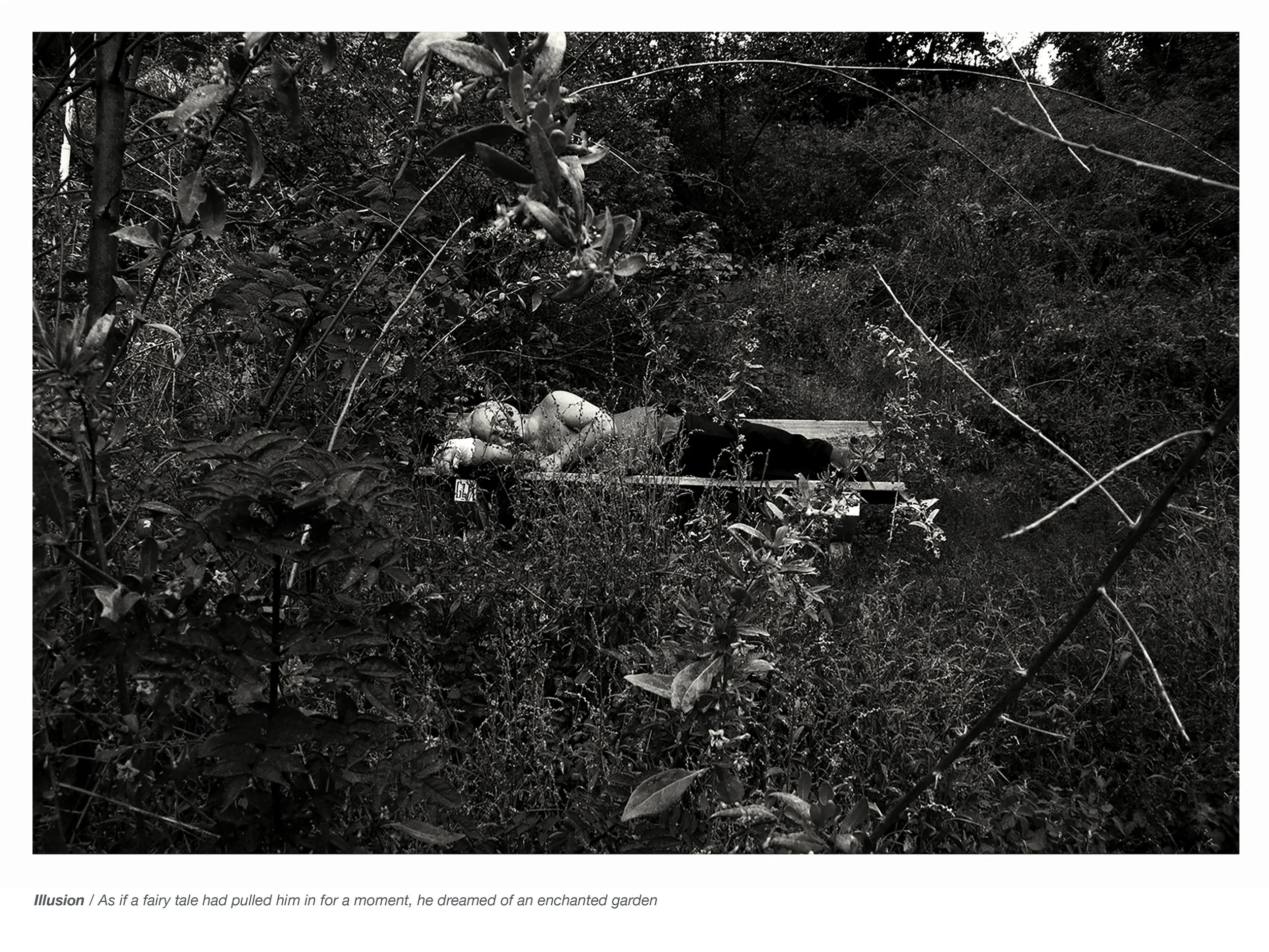 Observed Spaces Havlicek Web-6.jpg