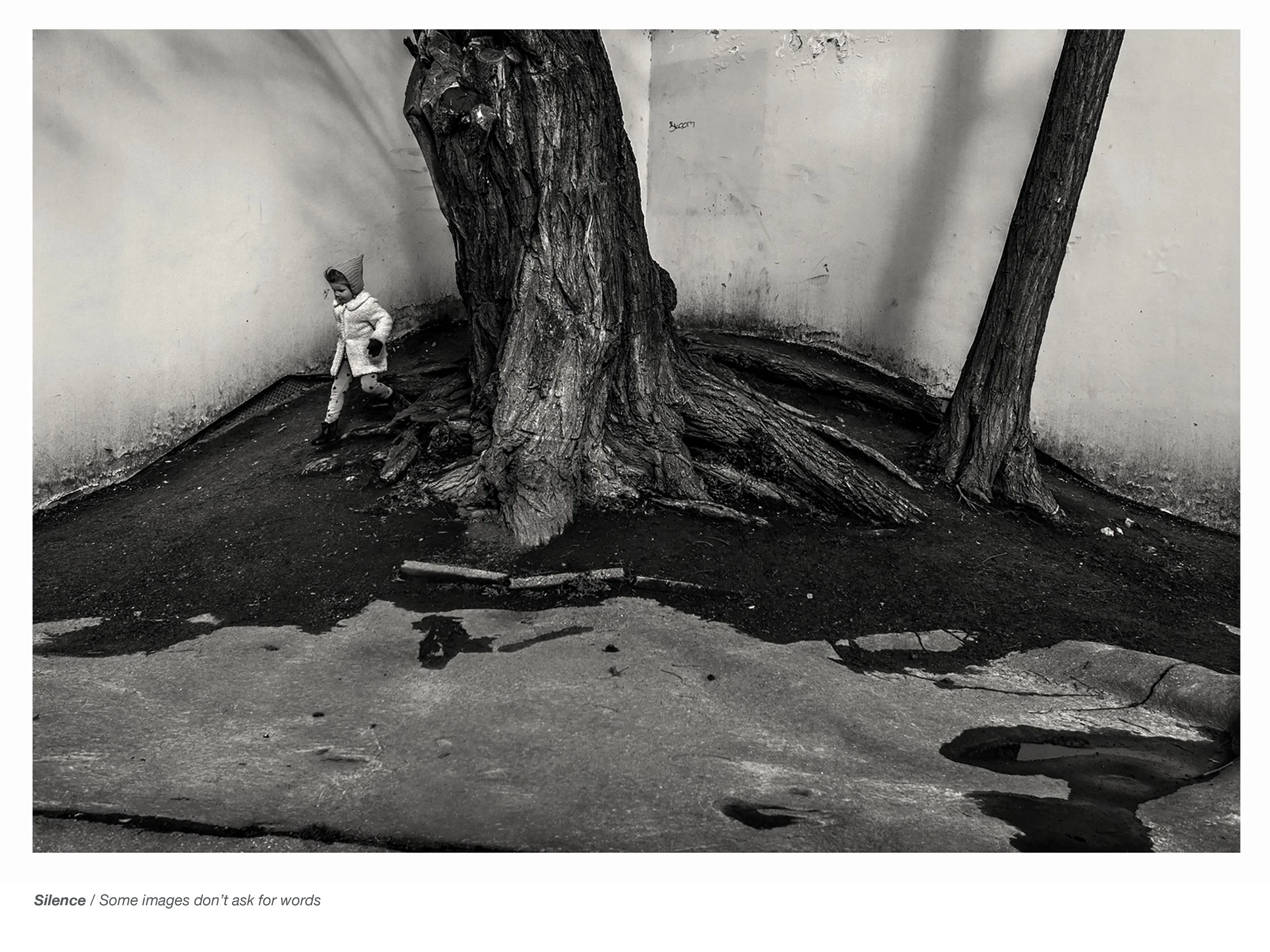 Observed Spaces Havlicek Web-15.jpg