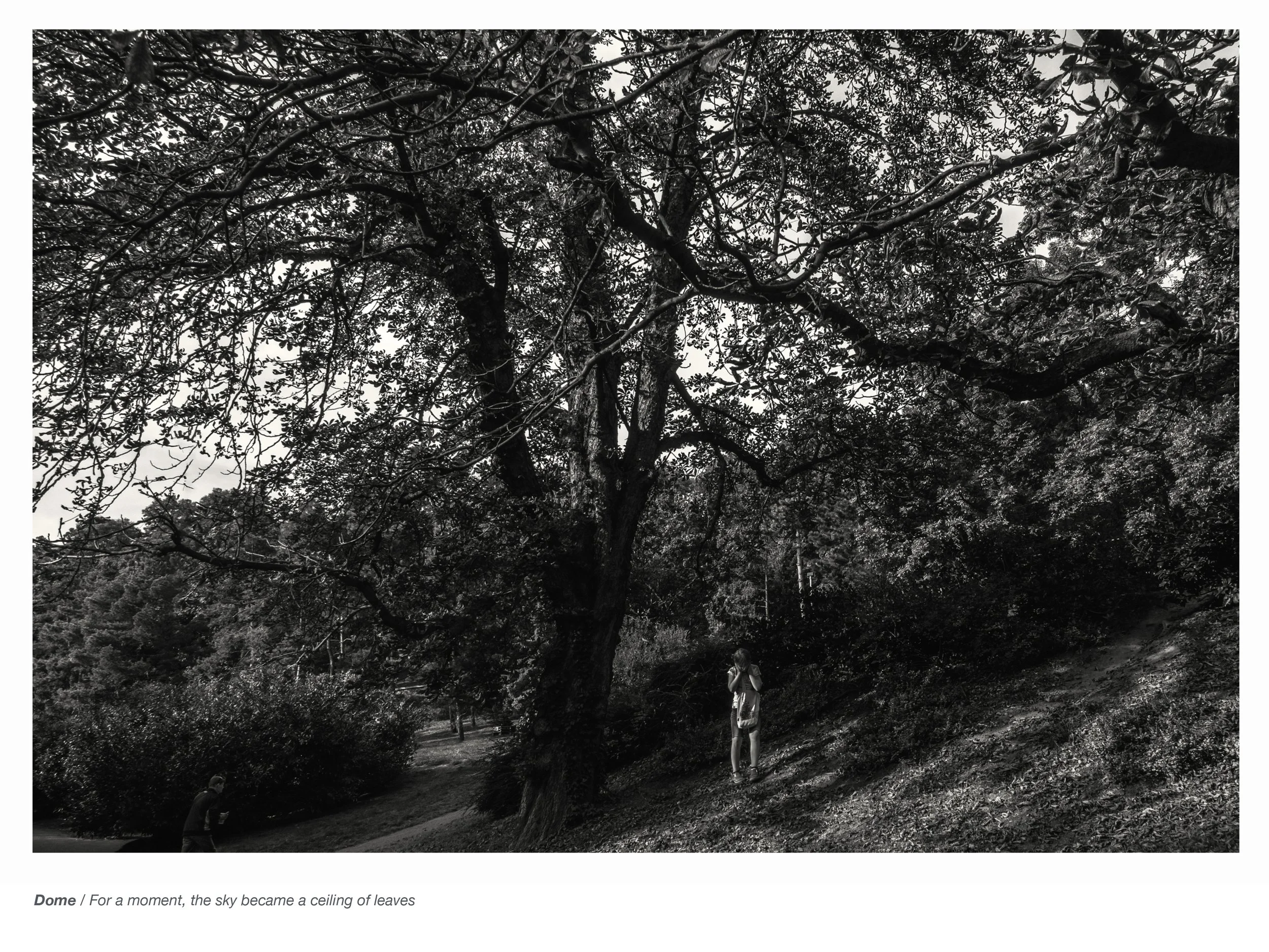 Observed Spaces Havlicek Web-27.jpg