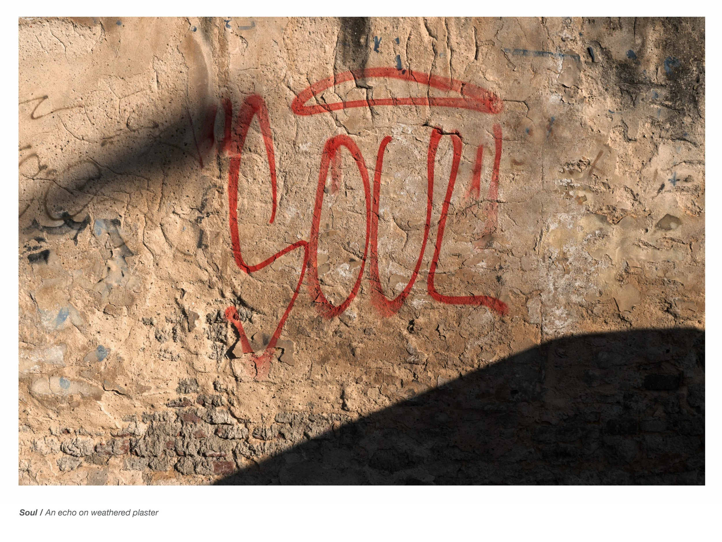 Obsessions Havlicek Web-31.jpg