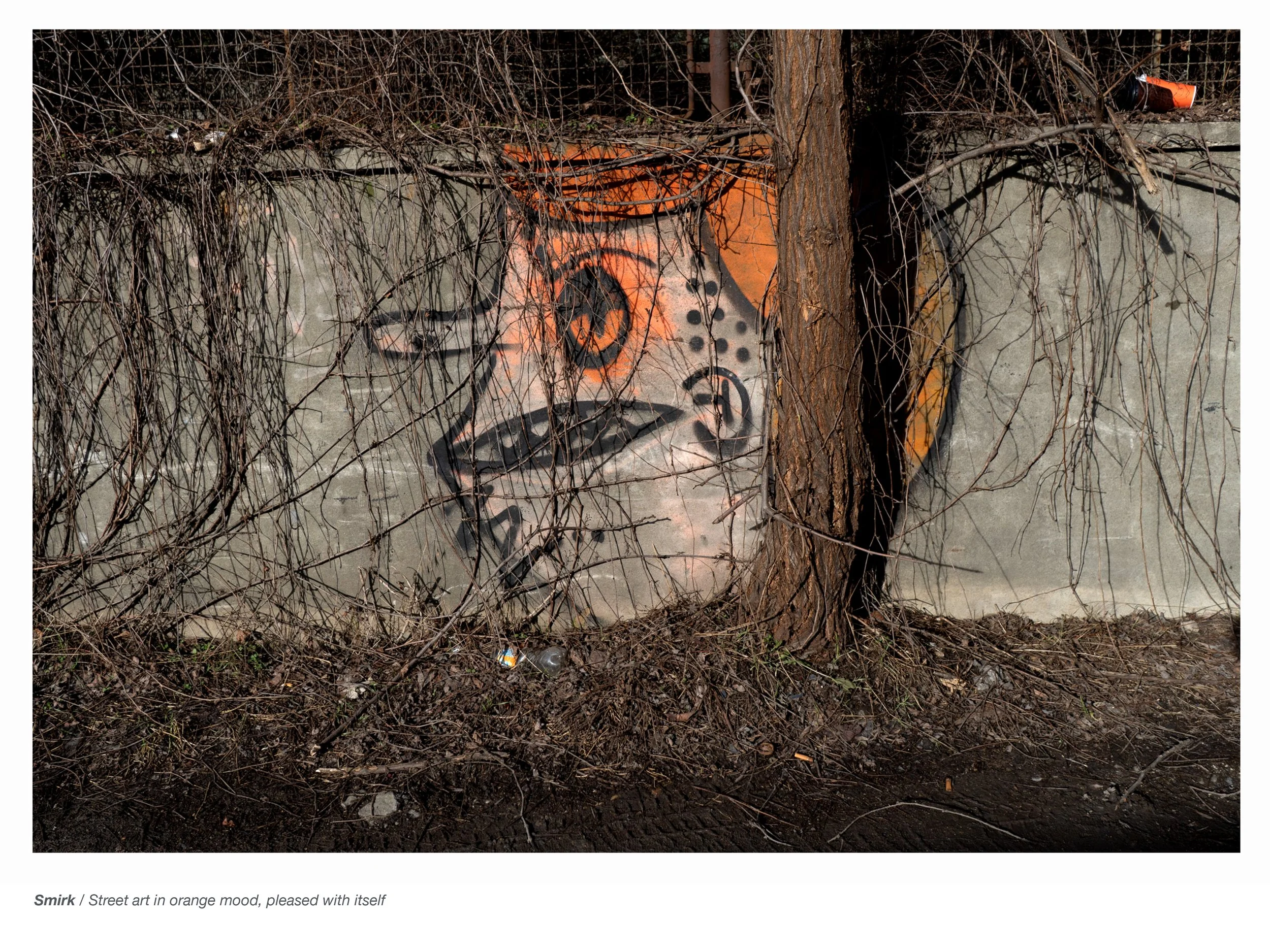 Obsessions Havlicek Web-32.jpg