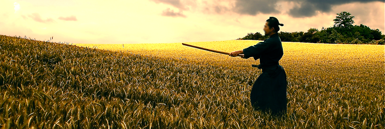 Samurai in Field.png