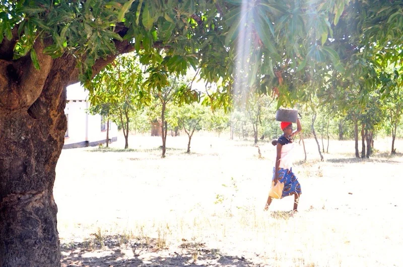A woman carries water on her head, a baby on her back, and another jug of cooking water in hand.