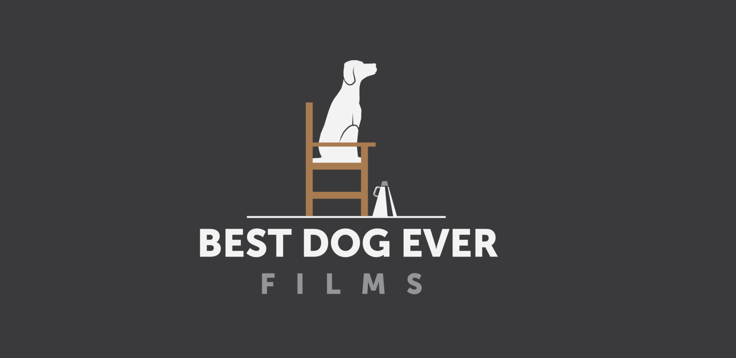 Best Dog Ever Films