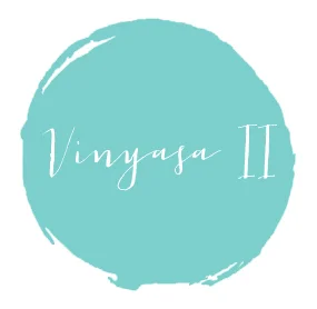 VinyasaII.jpg