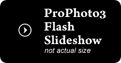 p3-flash-gal-placeholder.gif