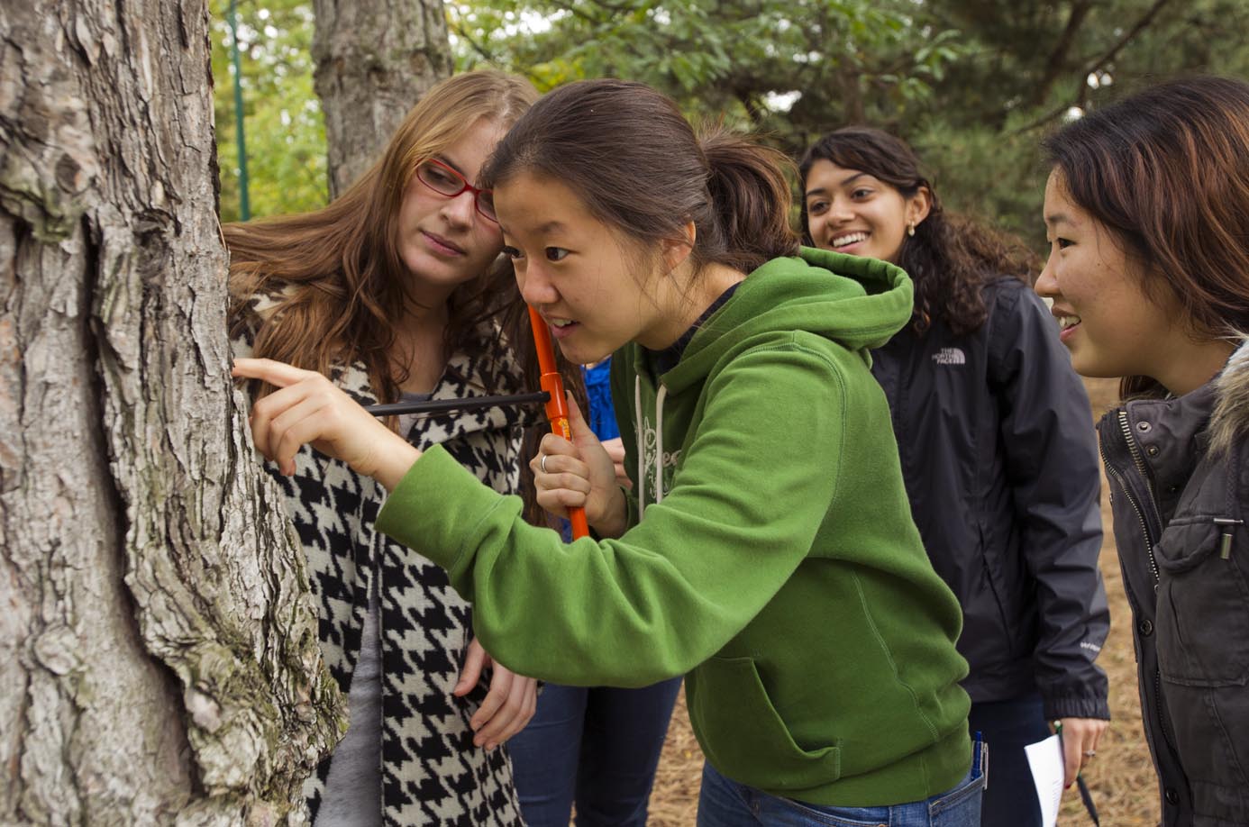  Charlotte Funk (CAS12), from left, Angela Park (CAS13), Poorva Bhade (CAS13) and Chystal Choe (CAS12) take core samples of trees along Bay State Road for their Biology of Global Change course October 18, 2011. The students were measuring the trees r