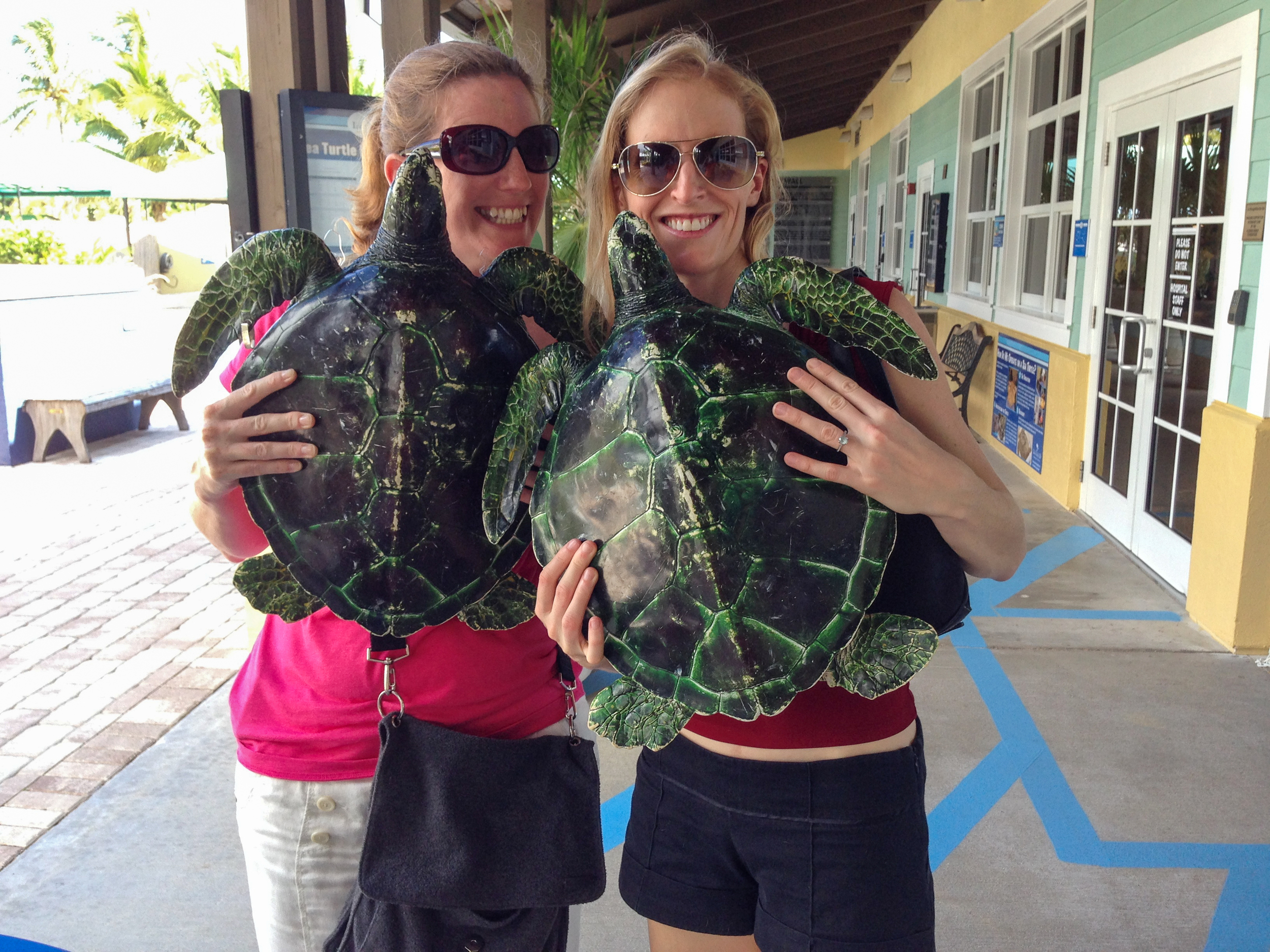  Marine Life Center. Juno, FL 