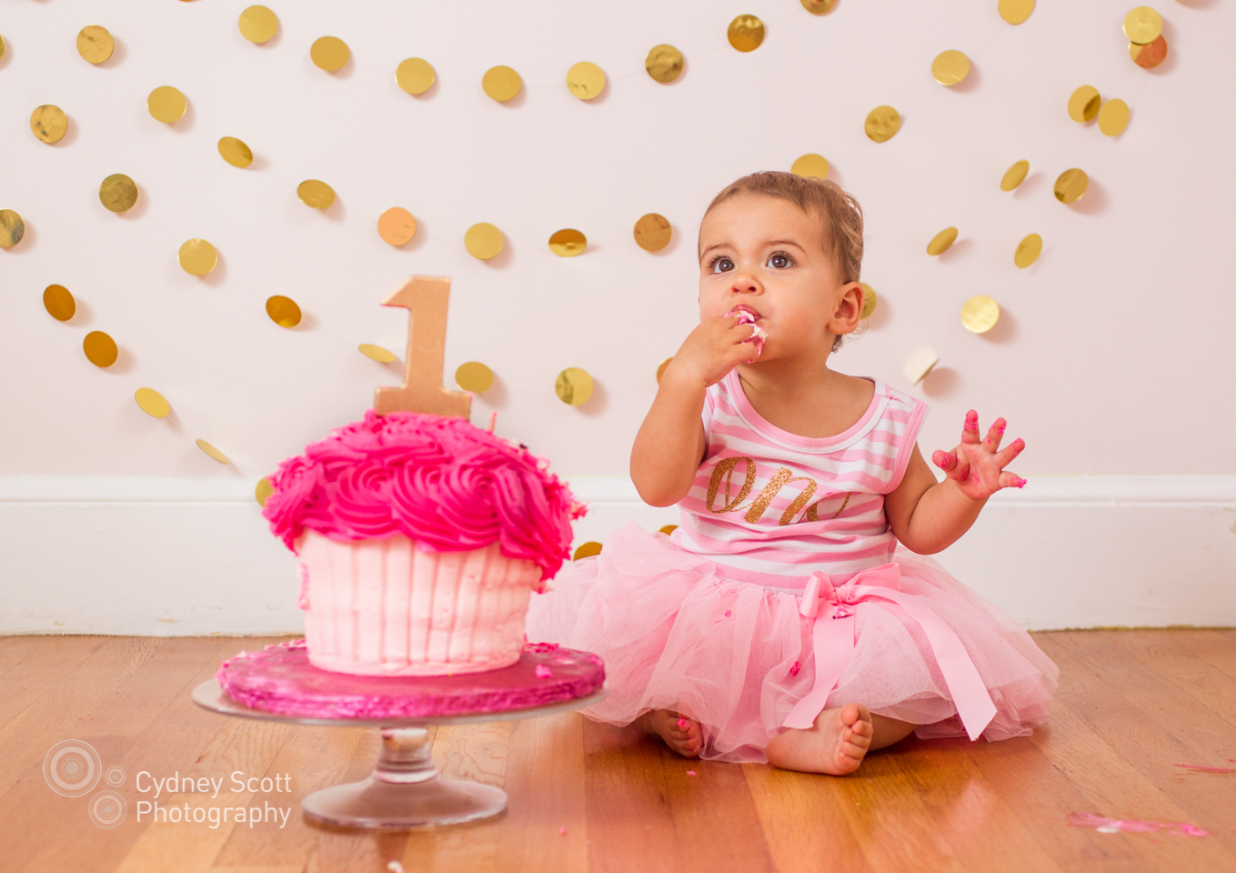 • Lily's Cake Smash! {Boston baby photographer} •