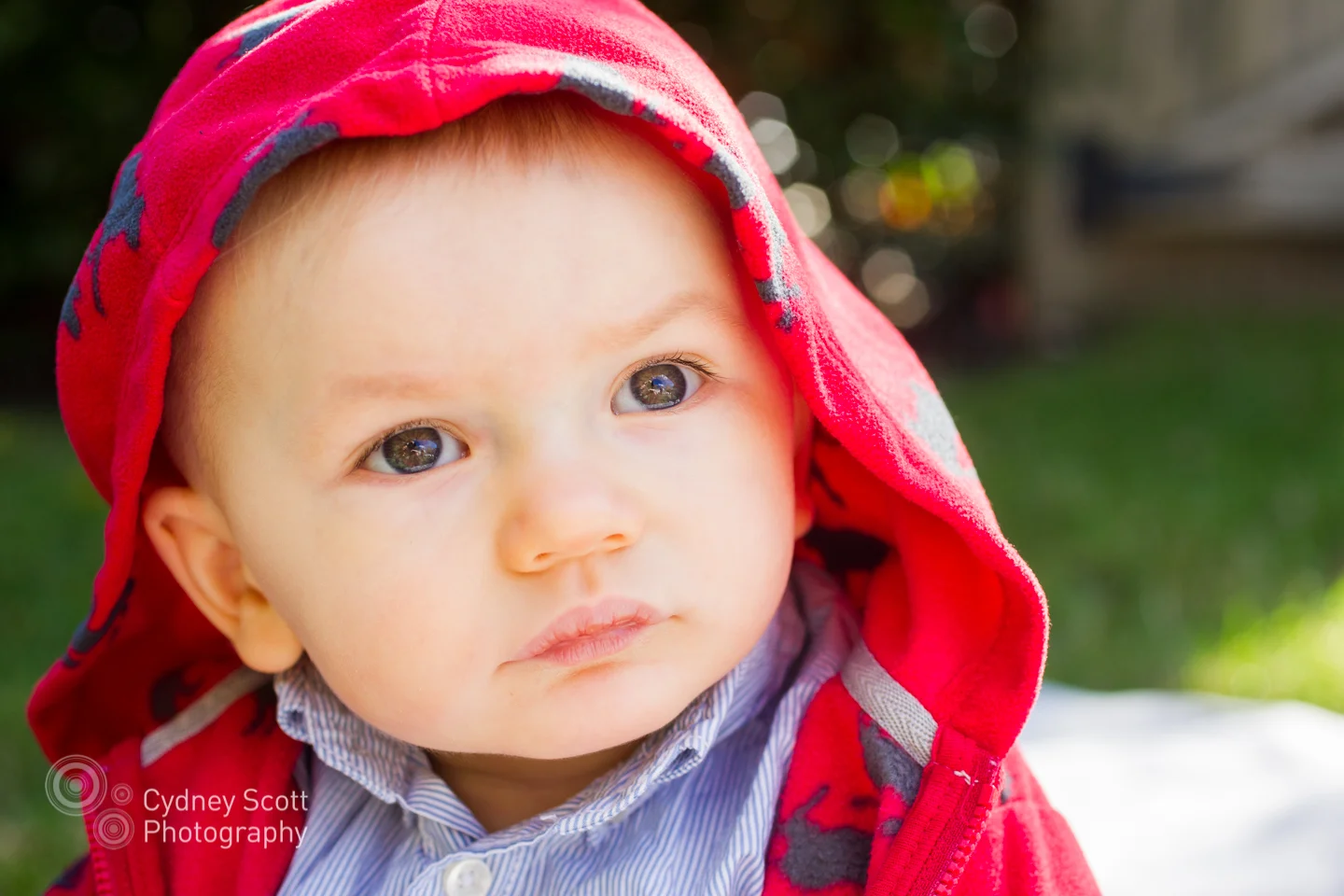 •  Tommy {BOSTON FAMILY PHOTOGRAPHER}  •