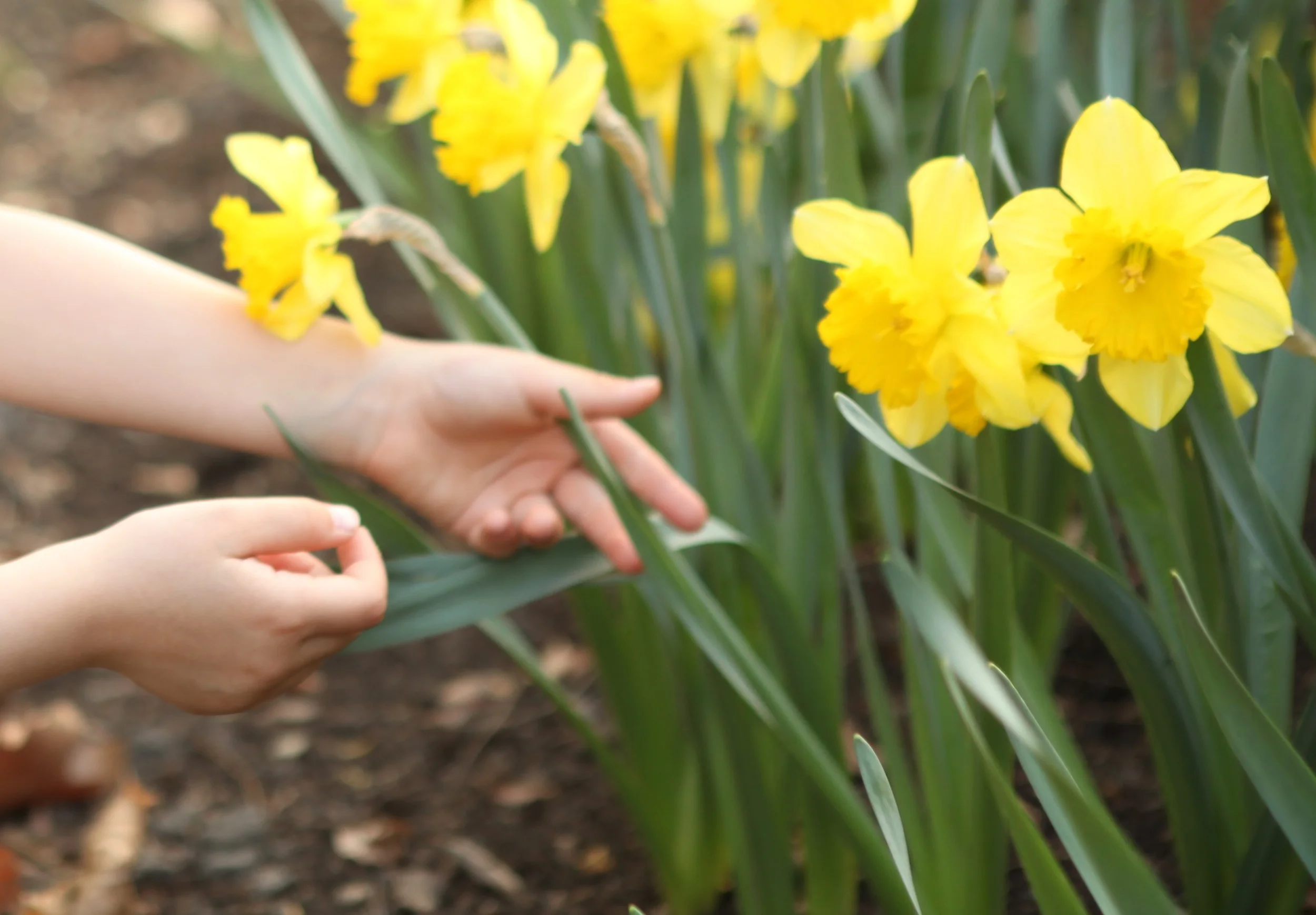 Spring Time = Happy Time