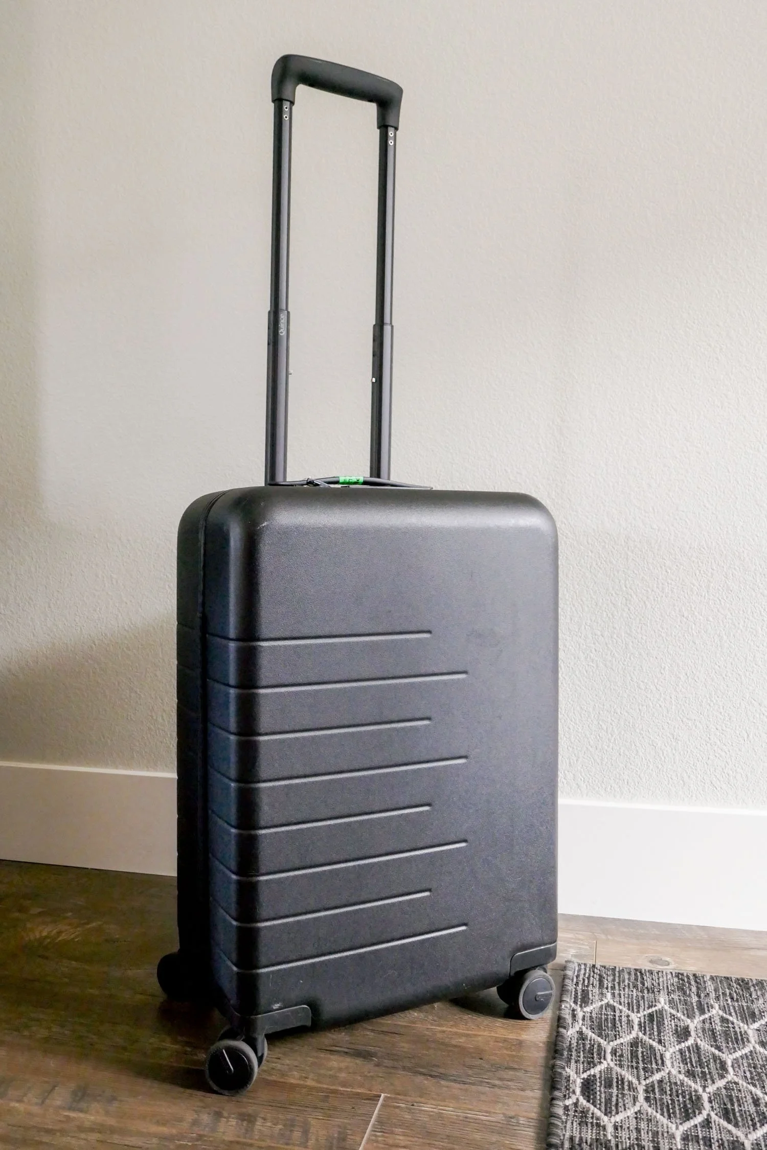 Top Reader Purchase of 2025: Quince Carry-on Suitcase | Cotton Cashmere Cat Hair