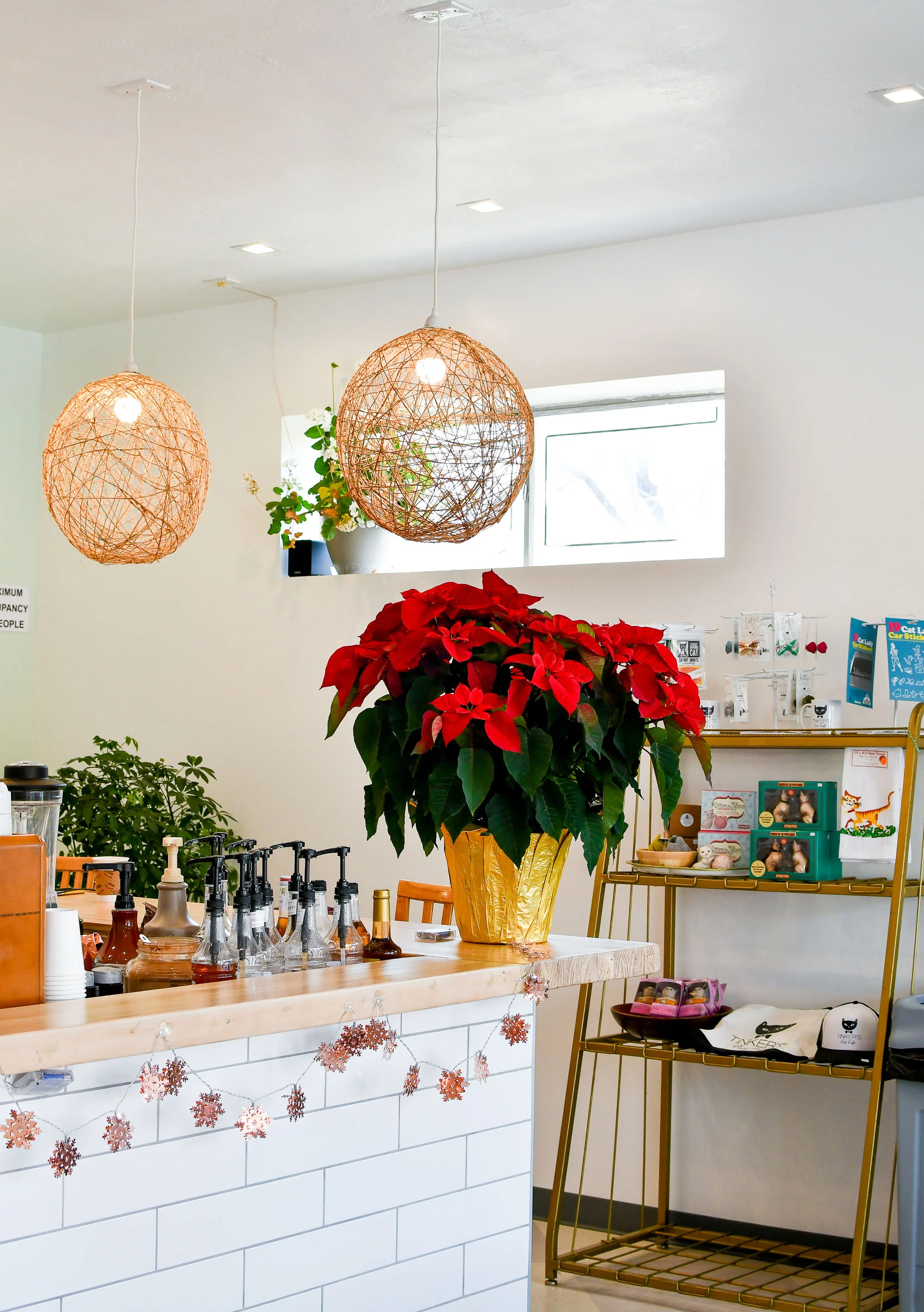 Tinker's Cat Café