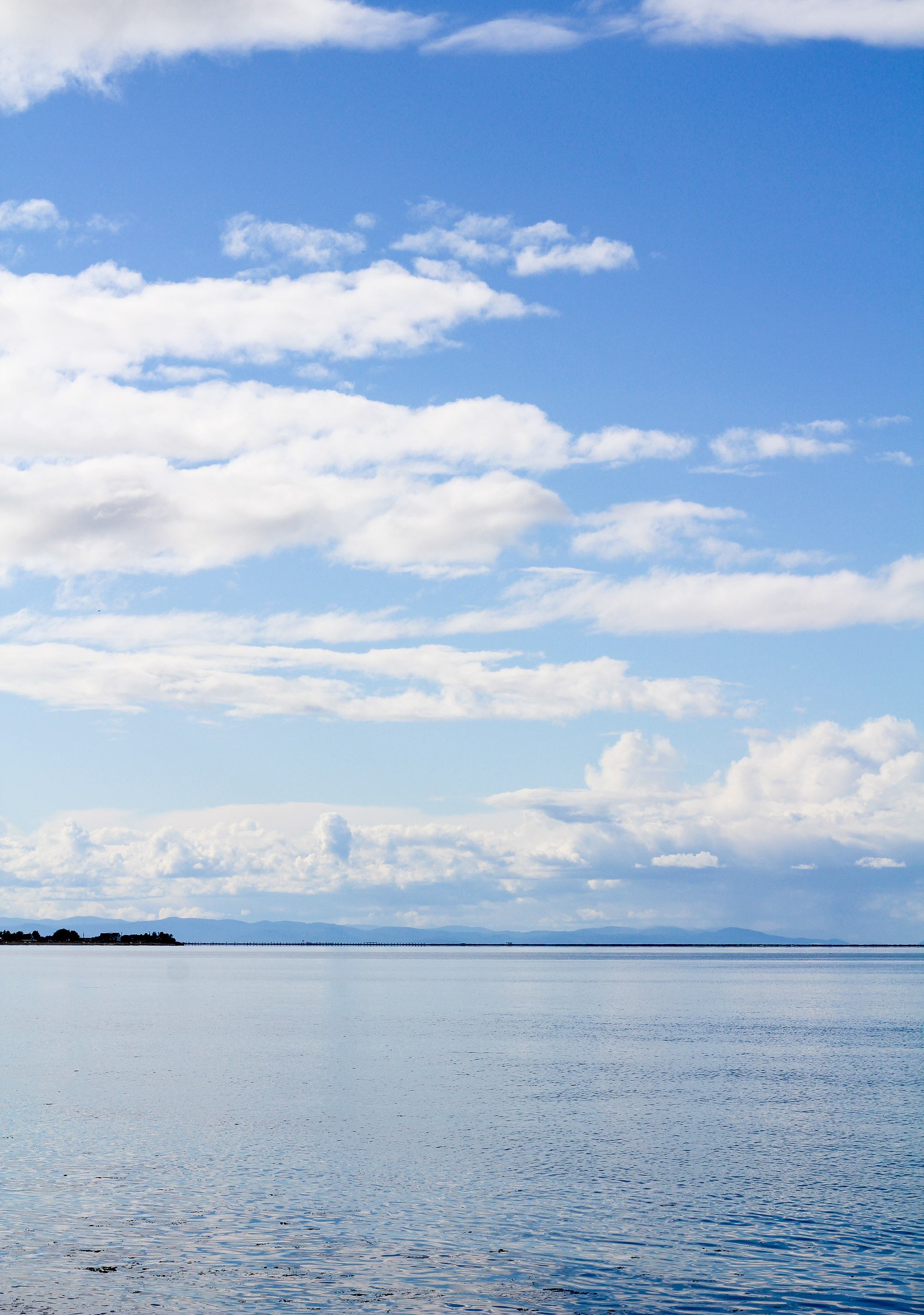 View of Vancouver Island from Sequim, Washington — Cotton Cashmere Cat Hair