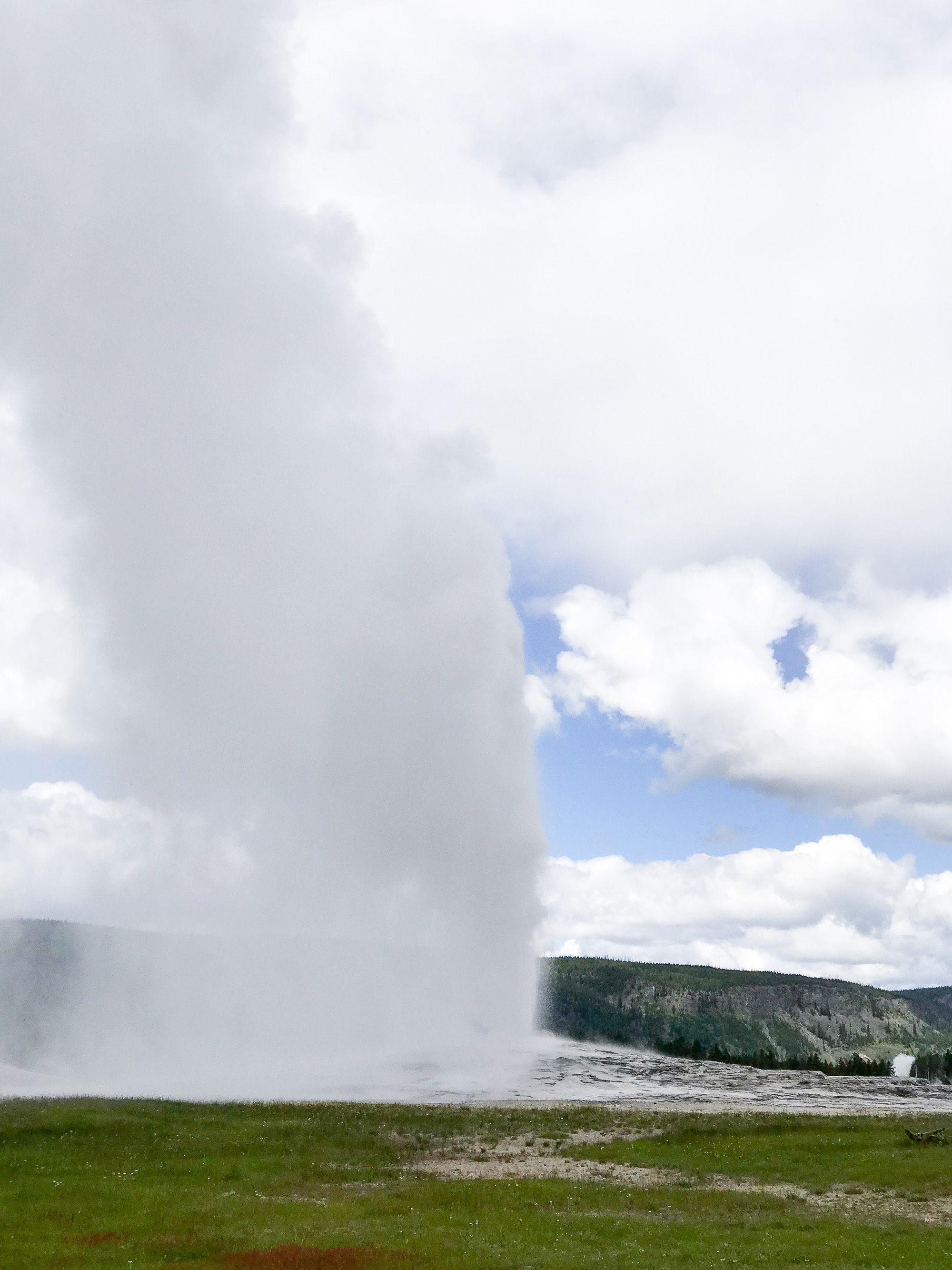 Old Faithful at Yellowstone — via Cotton Cashmere Cat Hair