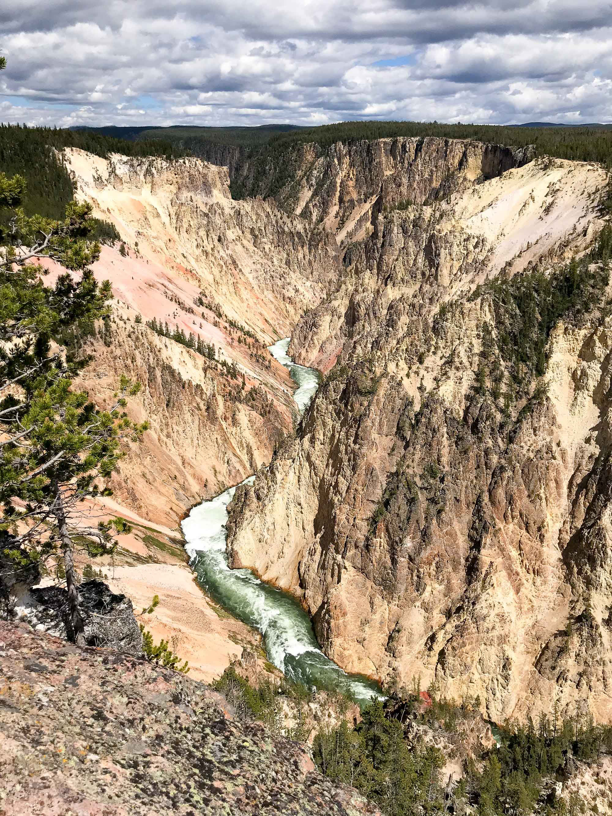 Grand Canyon of the Yellowstone — via Cotton Cashmere Cat Hair