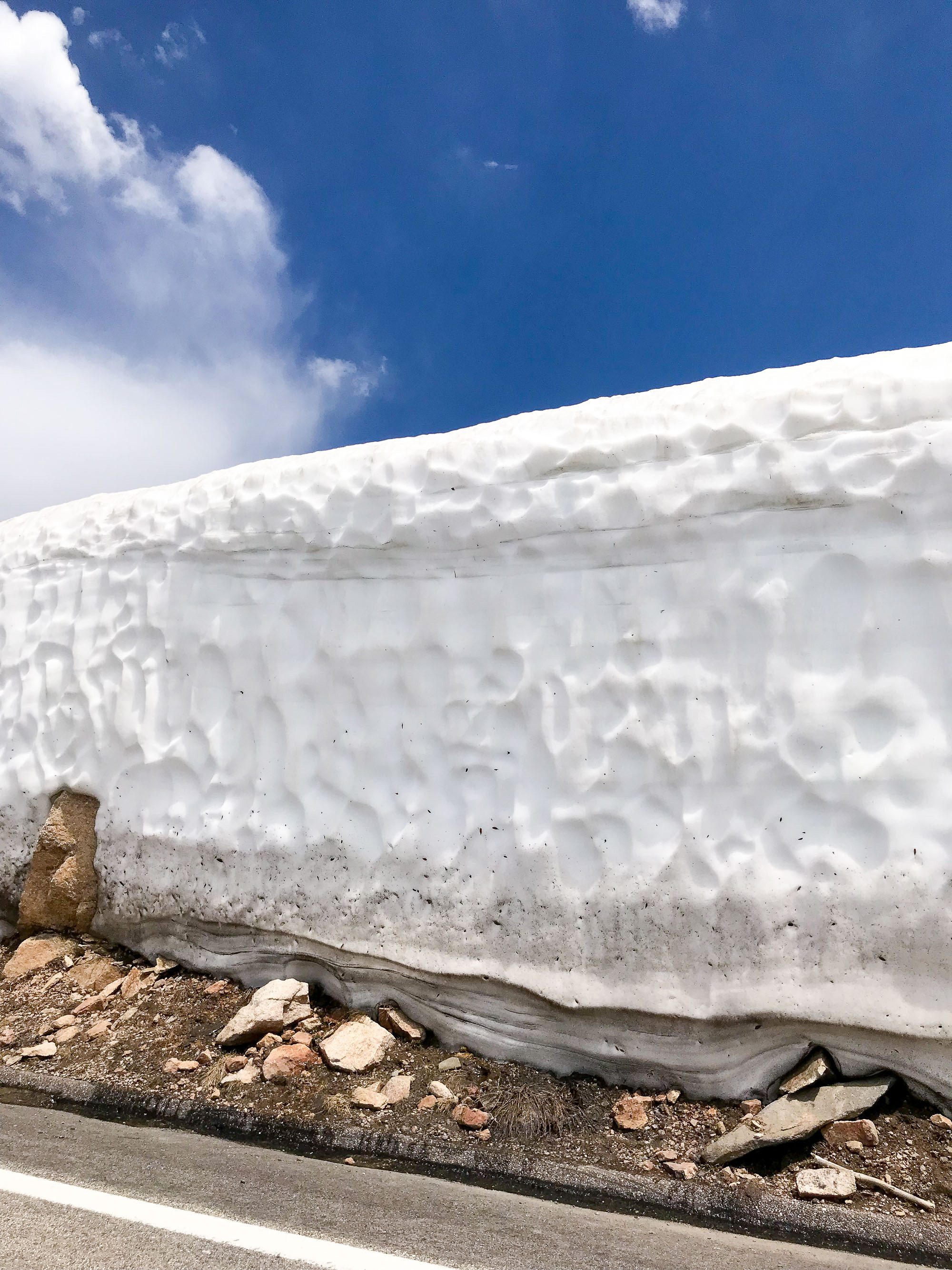 Snow along Beartooth Highway — via Cotton Cashmere Cat Hair