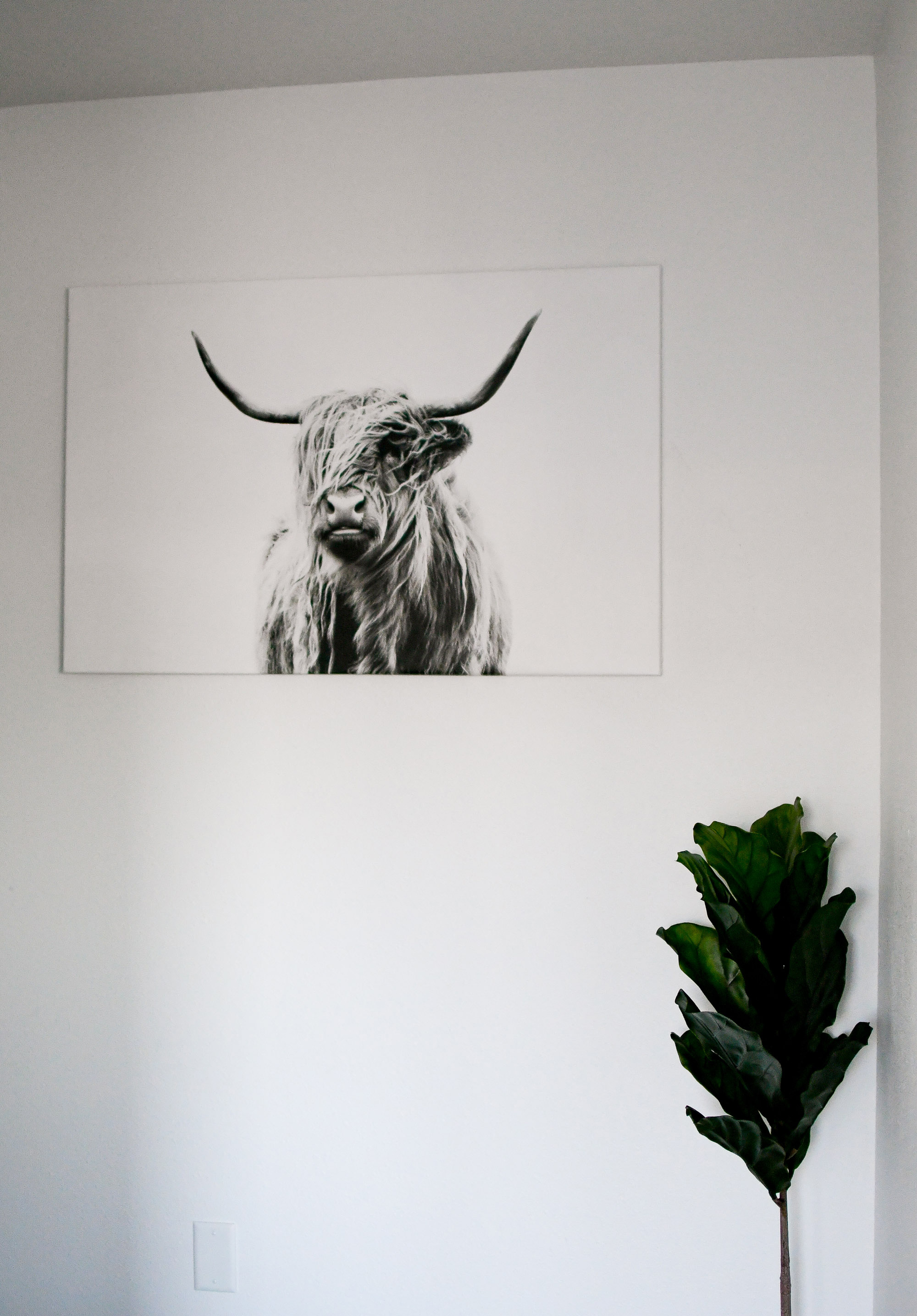 Minimal home decor at Stay Alfred — Cotton Cashmere Cat Hair