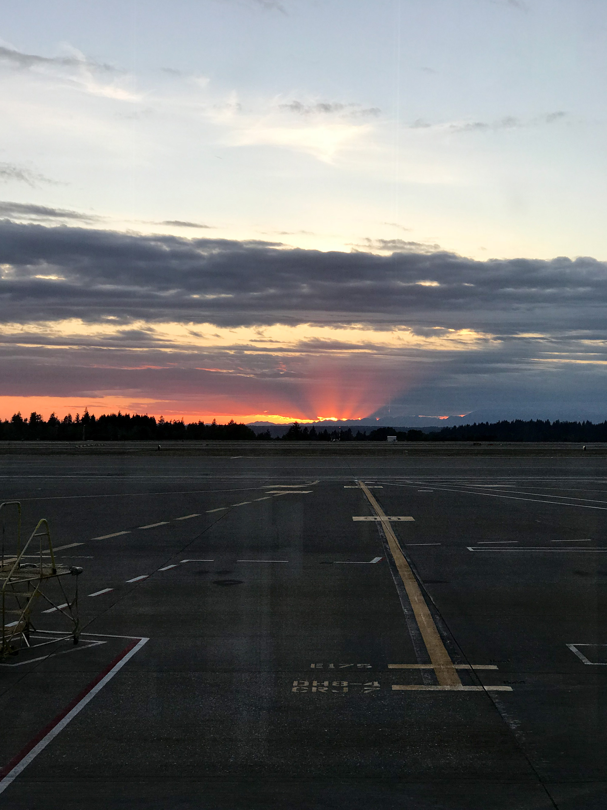 Sunset at SeaTac Airport — Cotton Cashmere Cat Hair