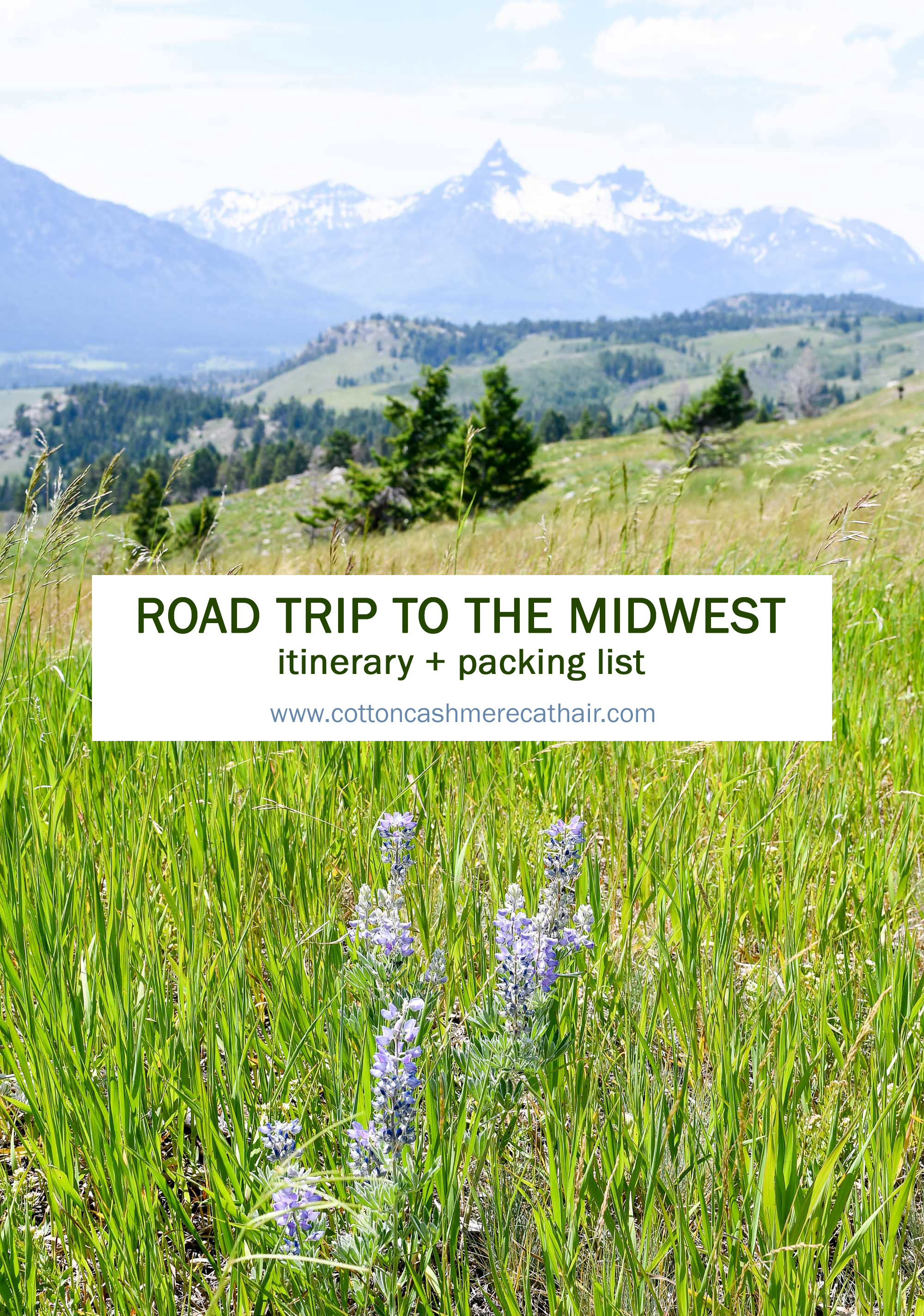 2018 travel: Road trip to the midwest — Cotton Cashmere Cat Hair