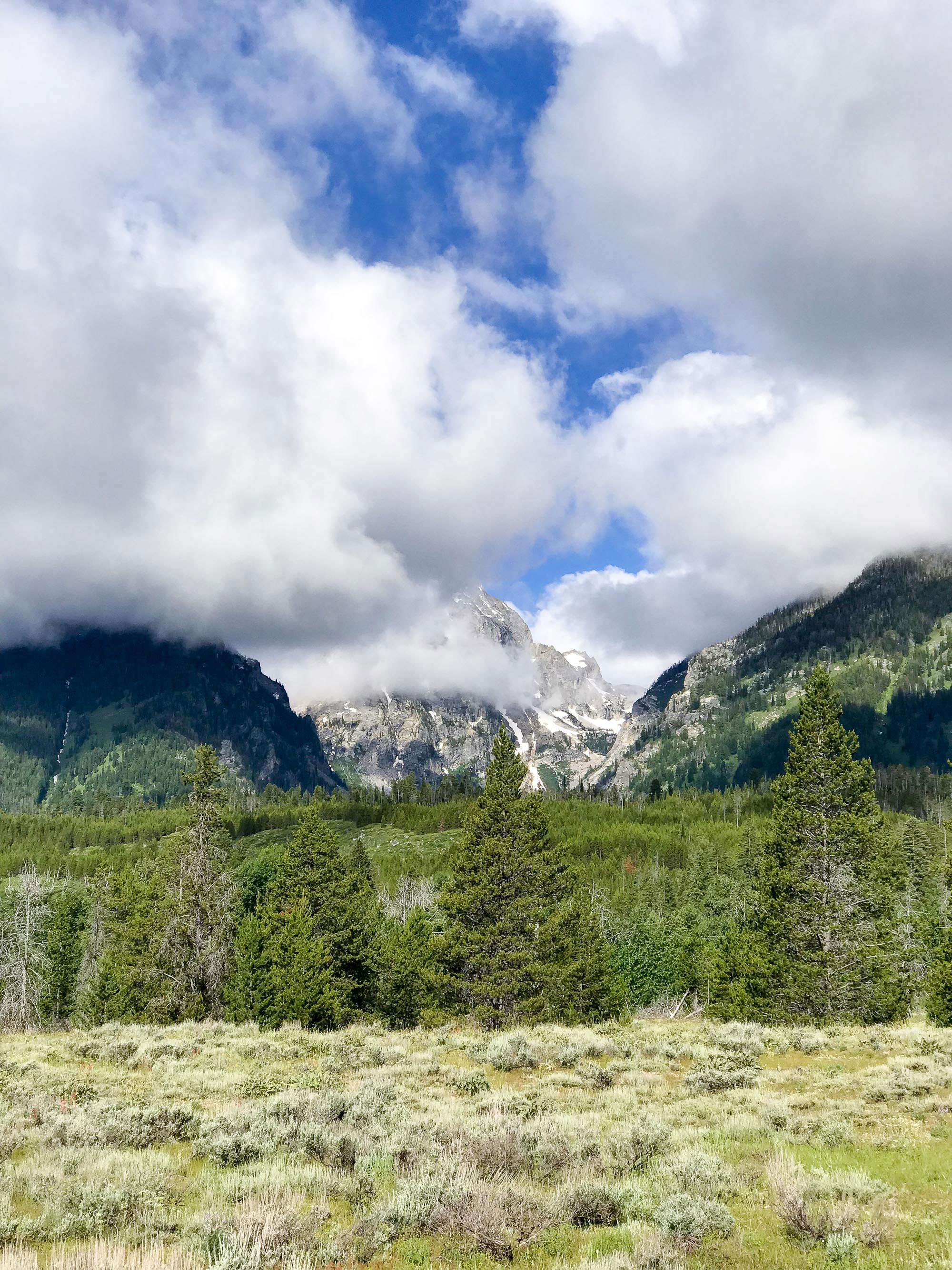 2018 travel: Grand Teton and Yellowstone — Cotton Cashmere Cat Hair