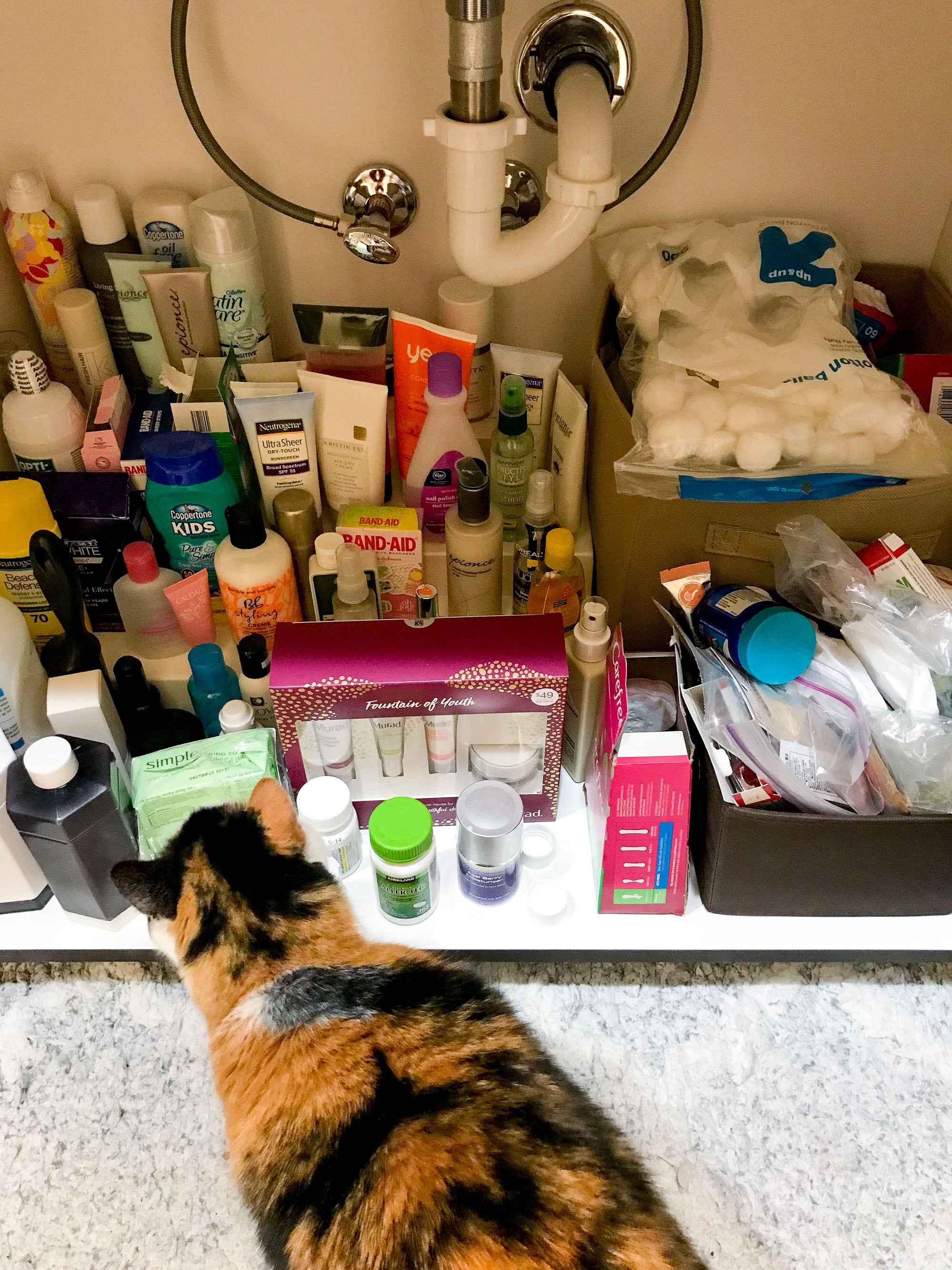 The January Cure: cabinet bathroom storage/mess — Cotton Cashmere Cat Hair