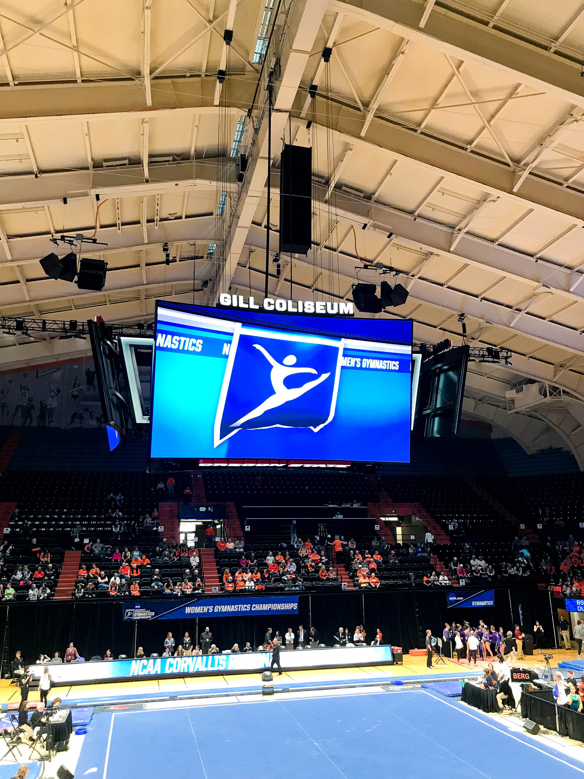 Gymnastics regional at Gill Coliseum, Oregon State University — Cotton Cashmere Cat Hair