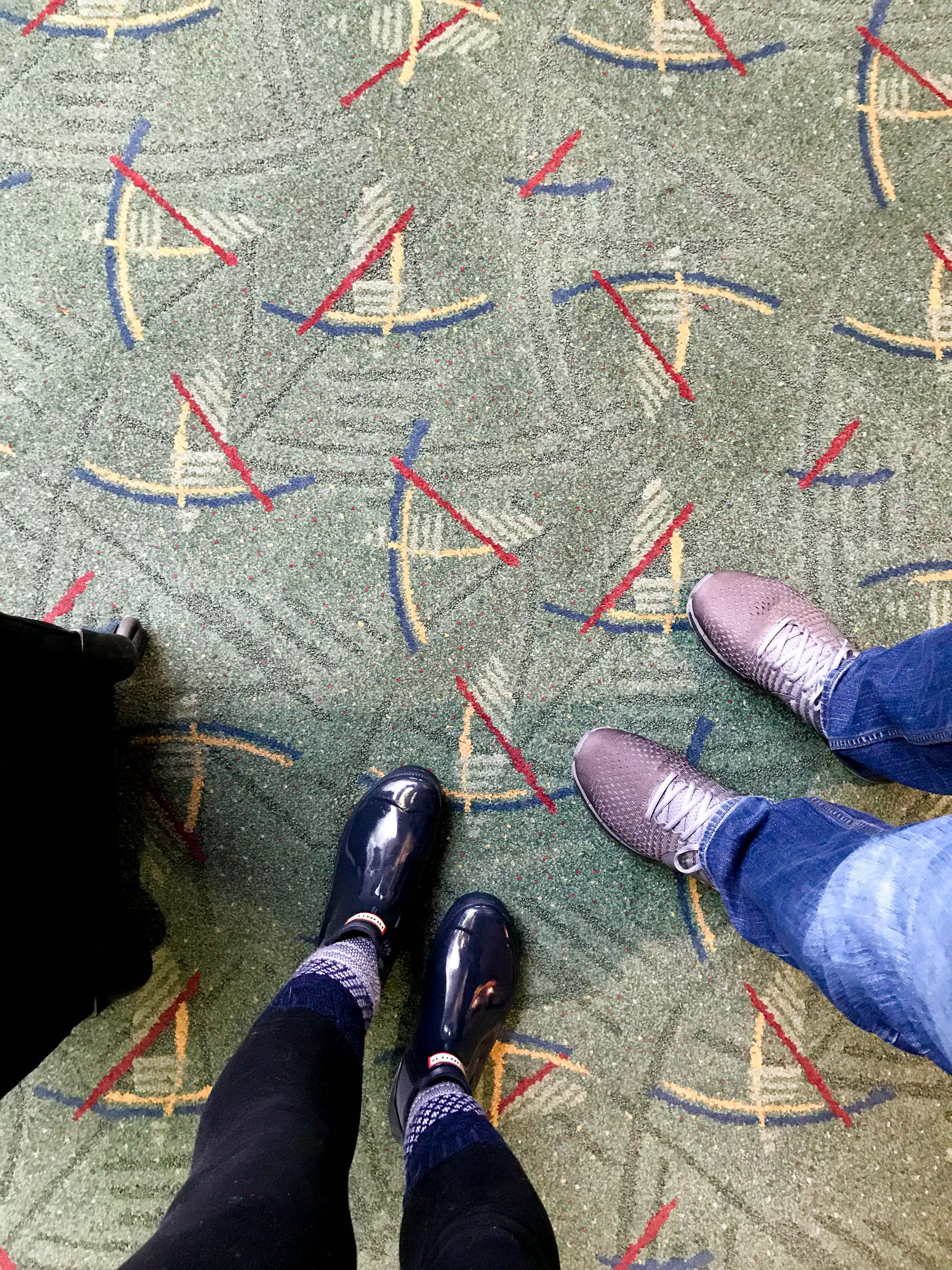 Iconic Portland Airport carpet — Cotton Cashmere Cat Hair