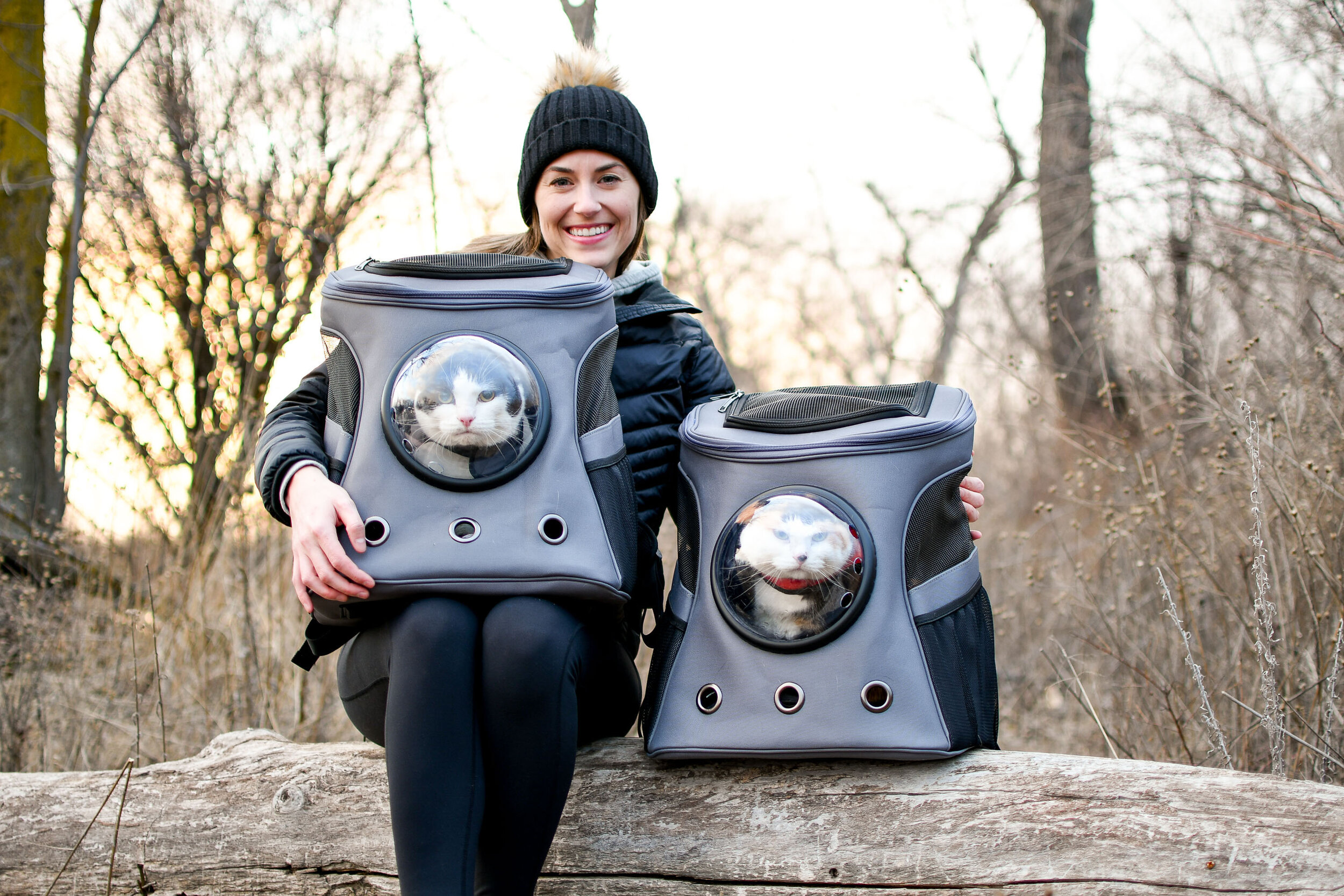 the fat cat cat backpack