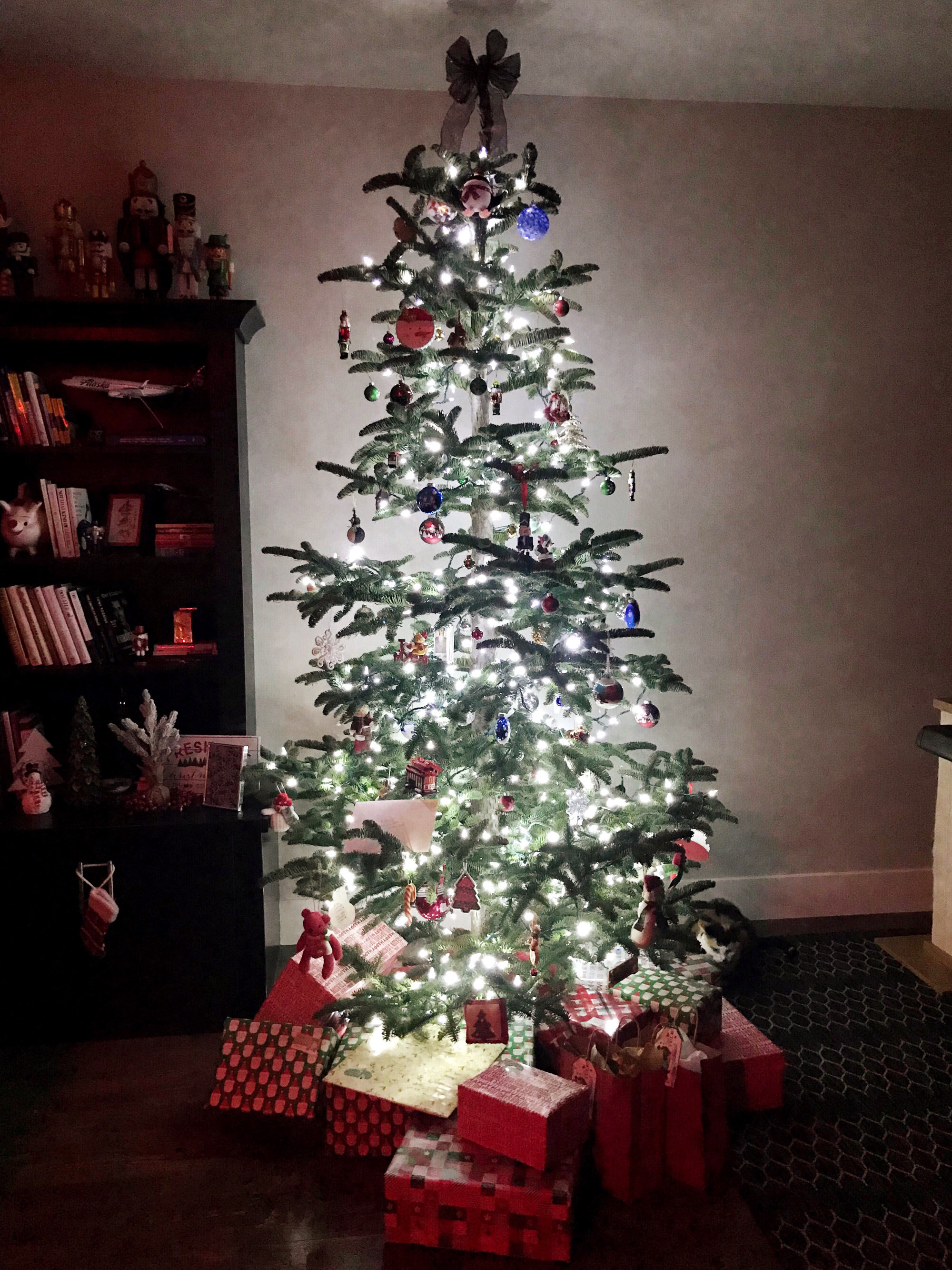 10 things I loved about winter: our noble fir Christmas tree — Cotton Cashmere Cat Hair