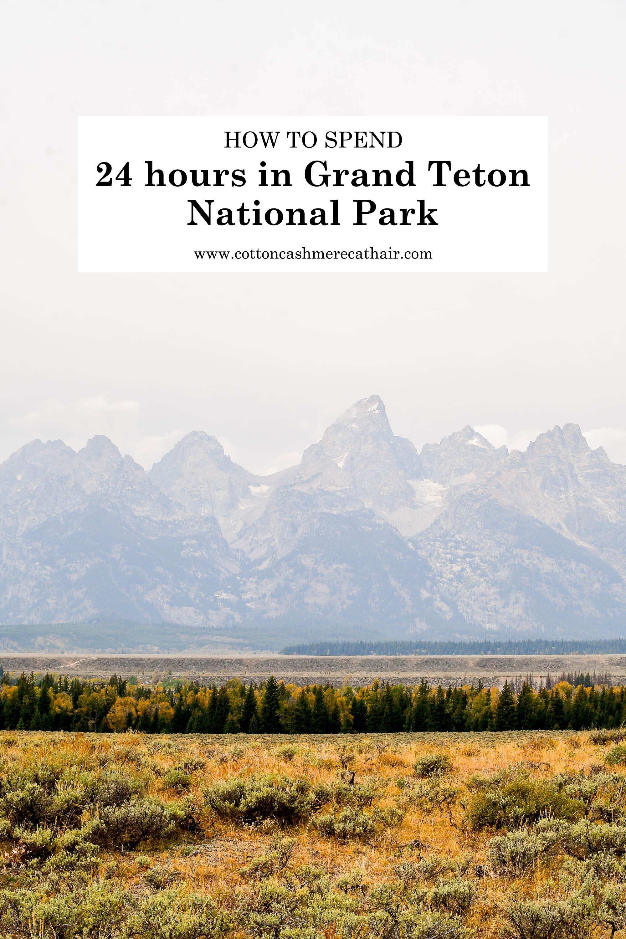 2020 travel: 24 hours in Grand Teton National Park — Cotton Cashmere Cat Hair