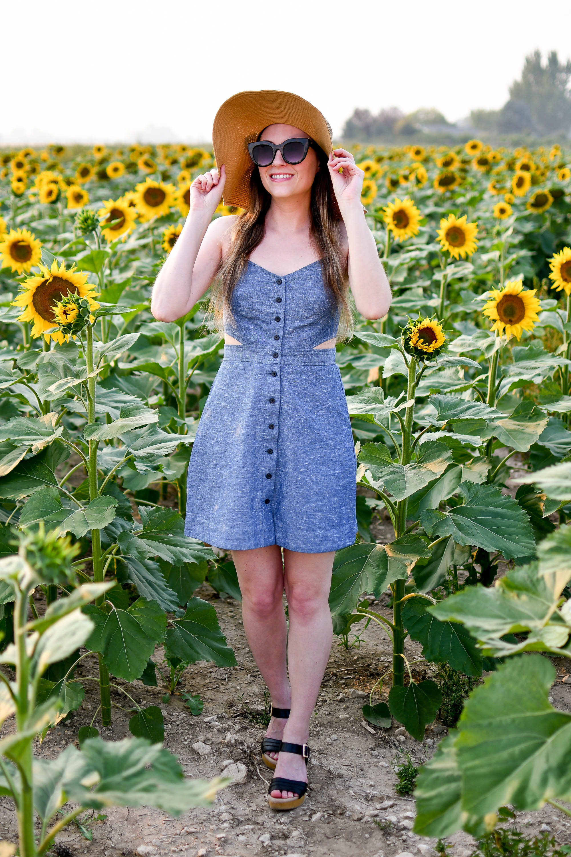 Favorite outfit: Sunflowers in September — Cotton Cashmere Cat Hair