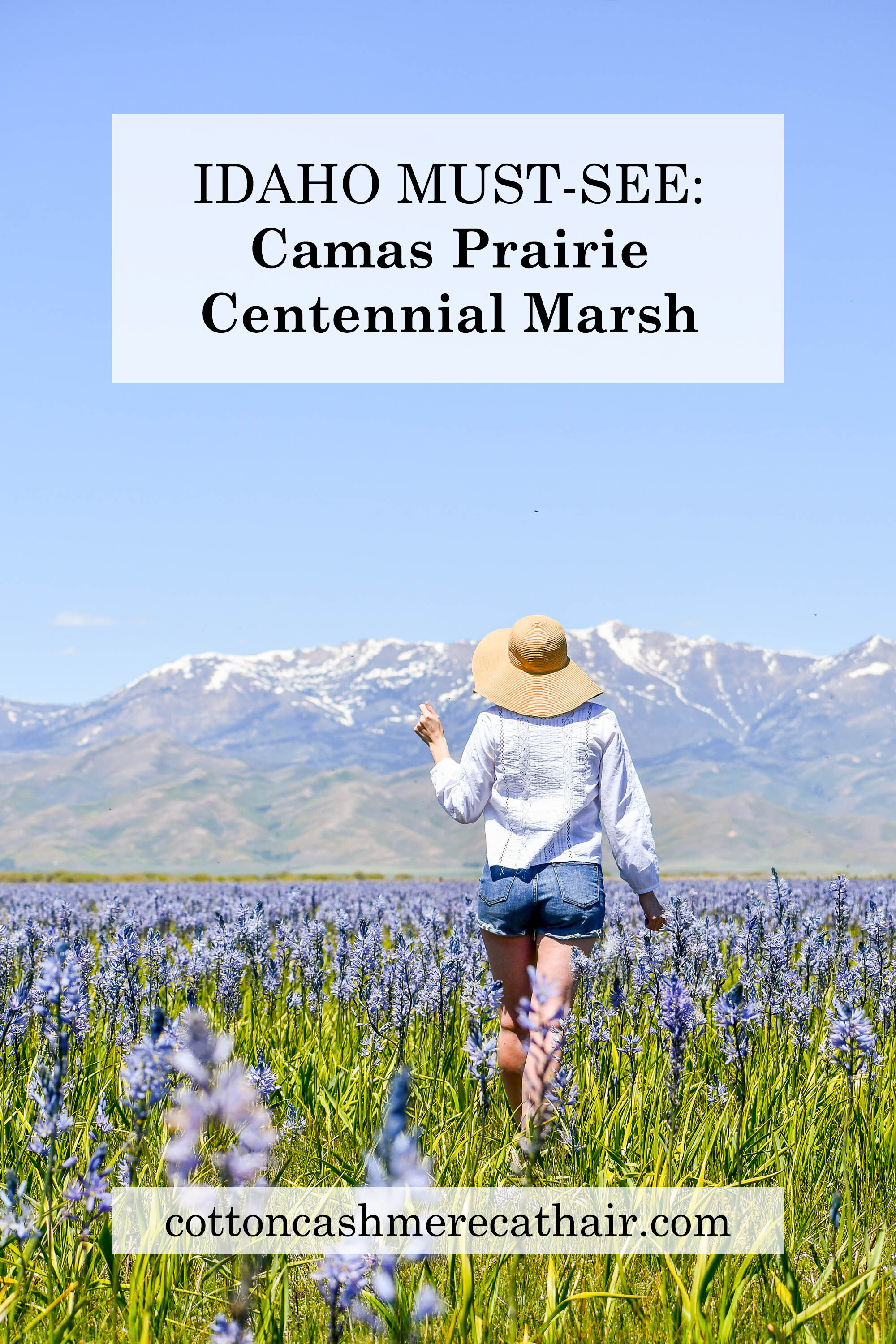 Idaho must-see: Camas Prairie Centennial Marsh