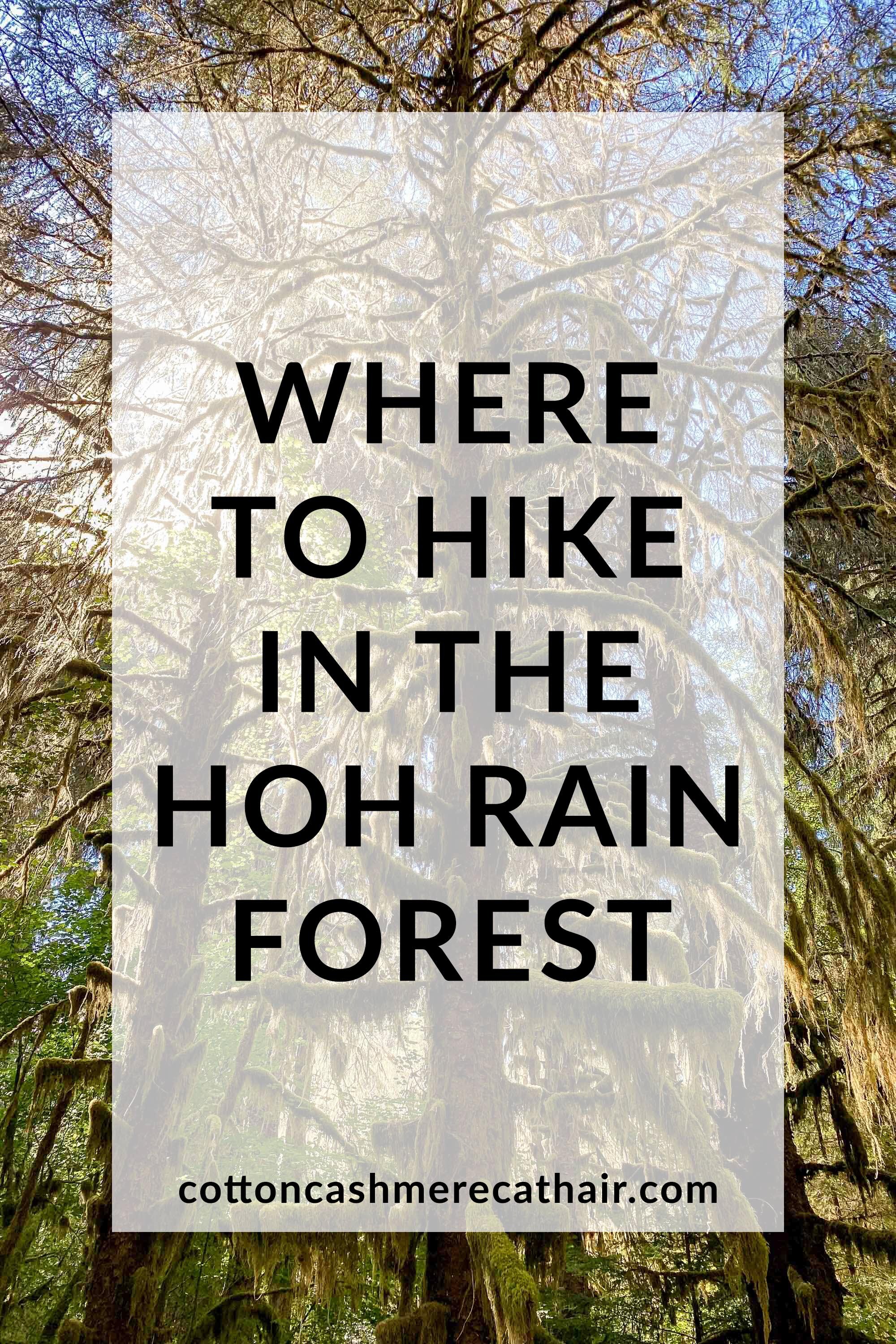 Where to hike in the Hoh Rain Forest