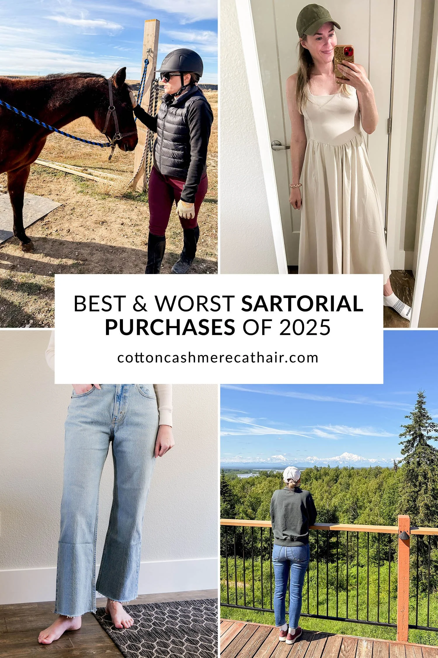 Best and Worst Purchases of 2025