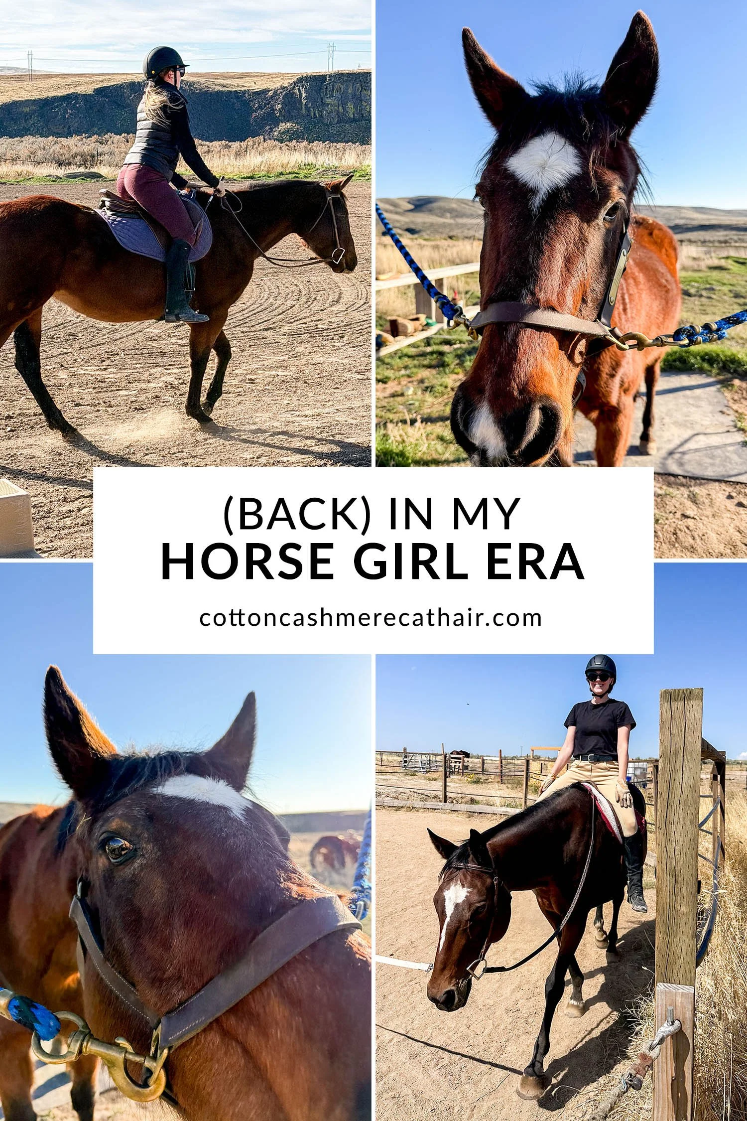 (Back) In My Horse Girl Era