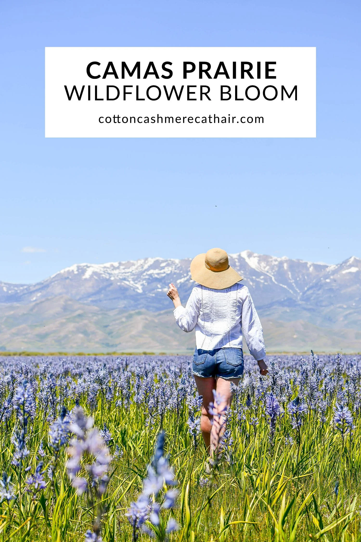 Spring Bloom at Camas Prairie Centennial Marsh