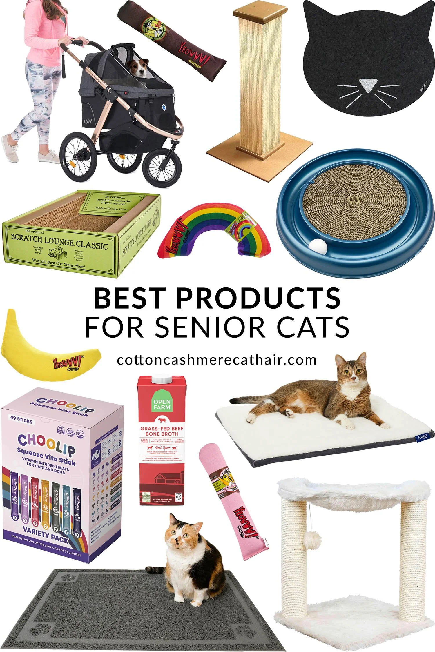 18 Best Products for Senior Cats
