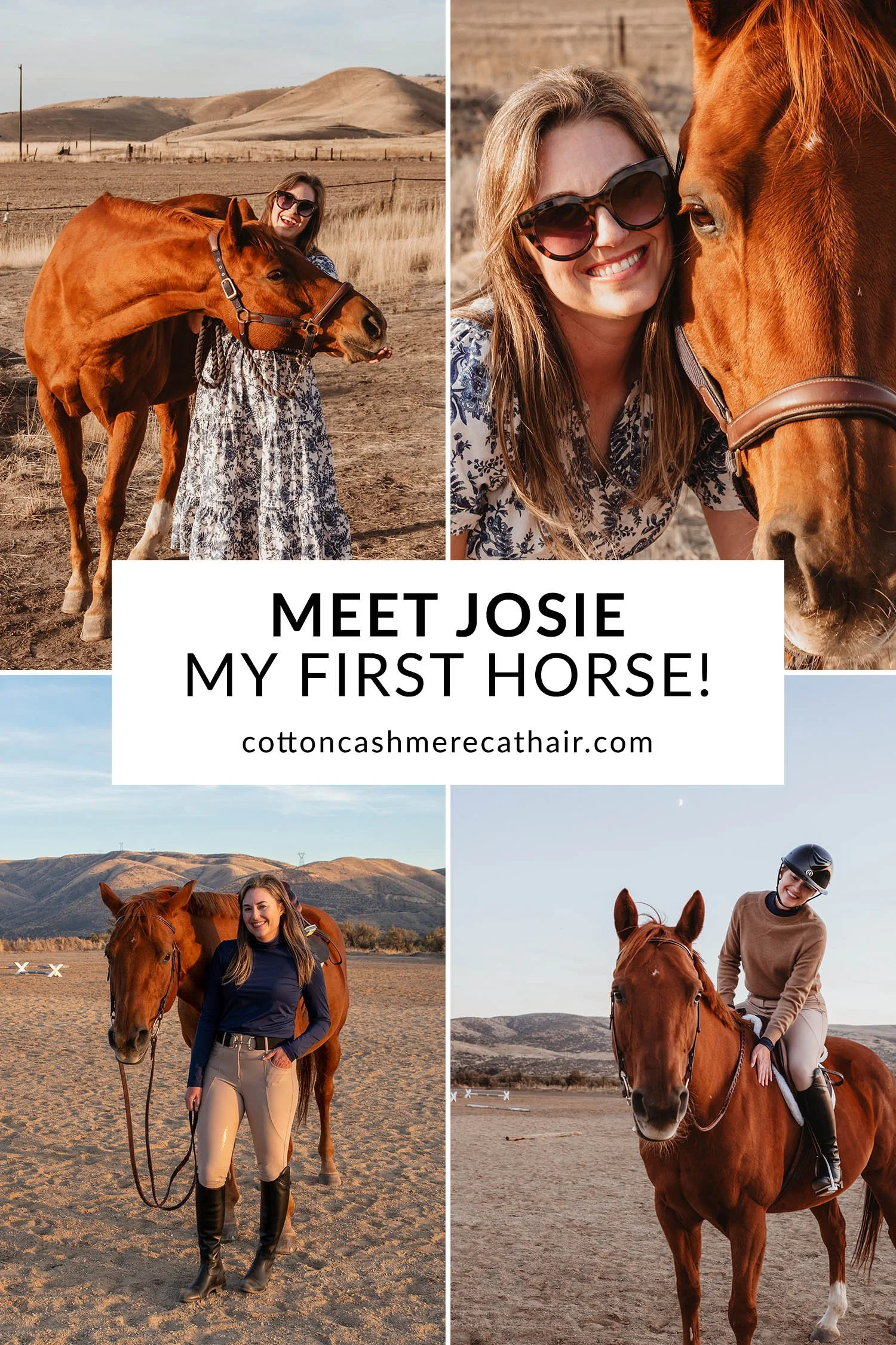 Meet Josie, My First Horse!