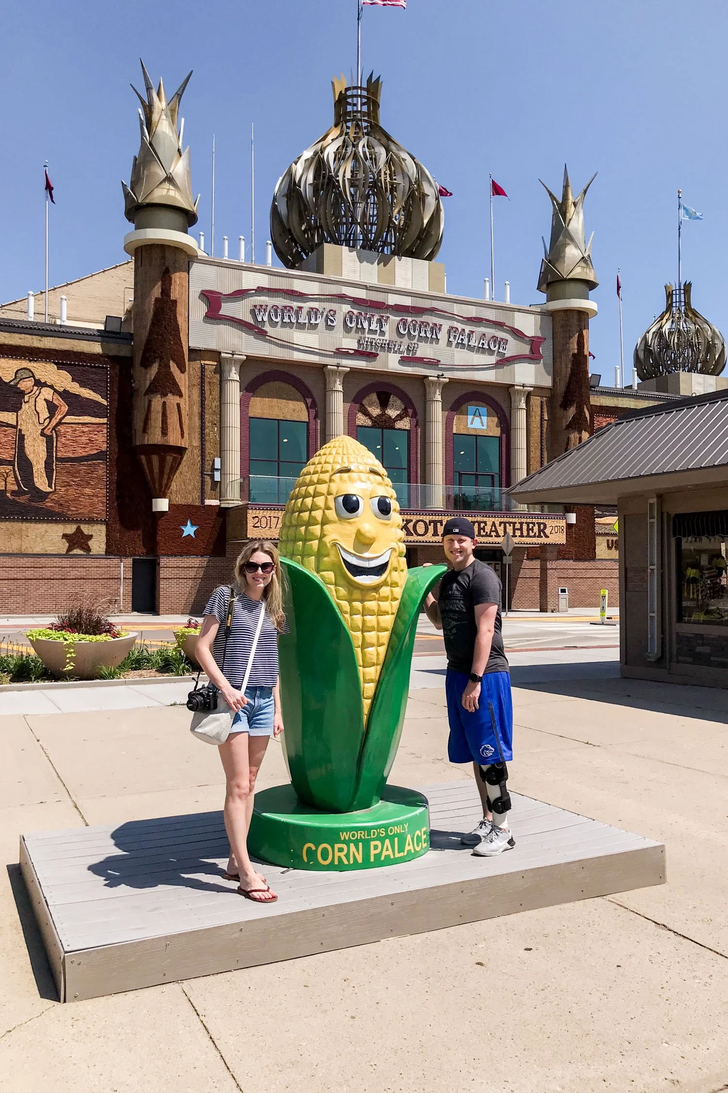 Year 3: World's Only Corn Palace in South Dakota | Cotton Cashmere Cat Hair