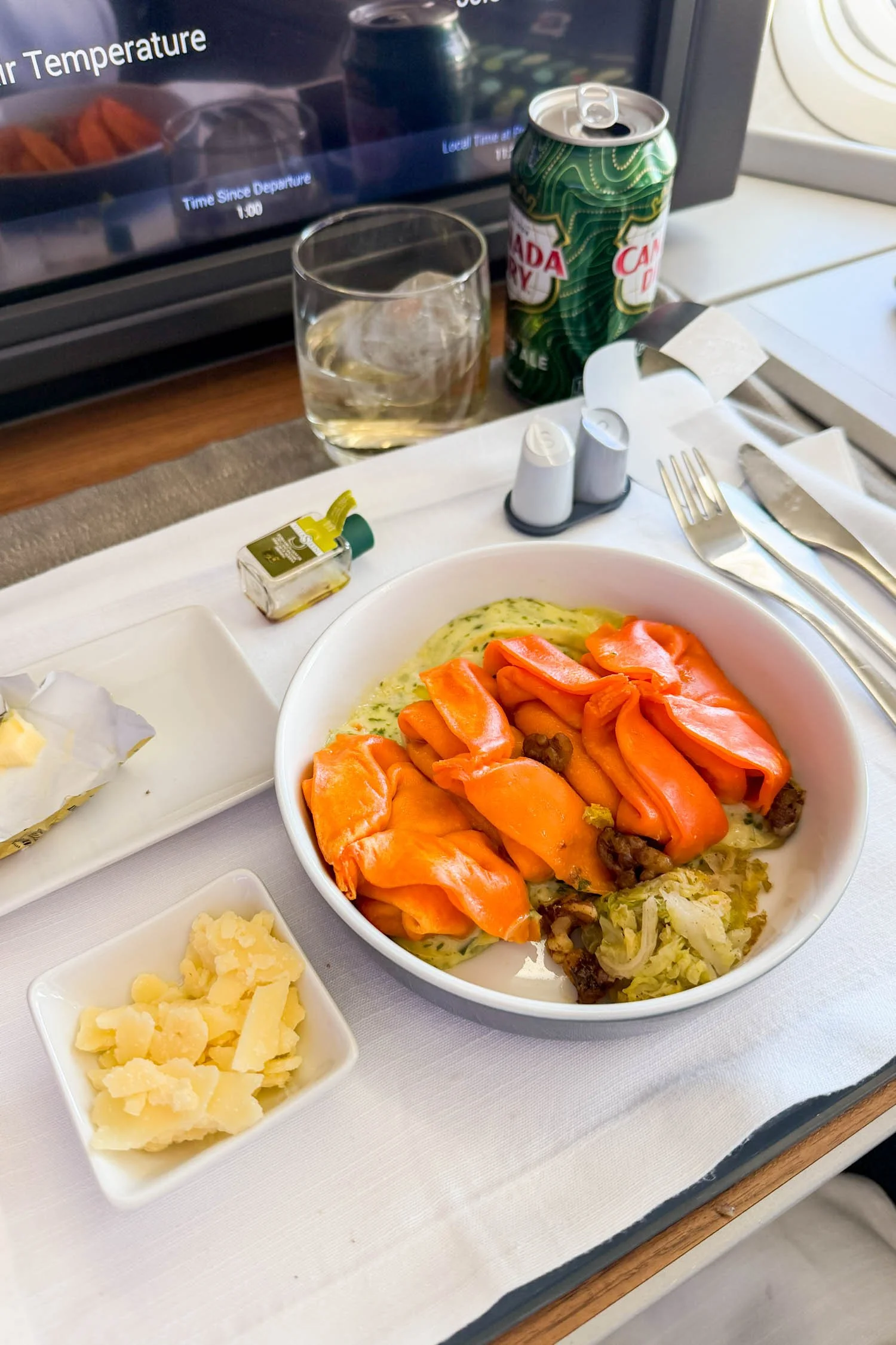 American Airlines MAD DFW Business Class Main Course: Pasta Giganti Radiccio | Cotton Cashmere Cat Hair