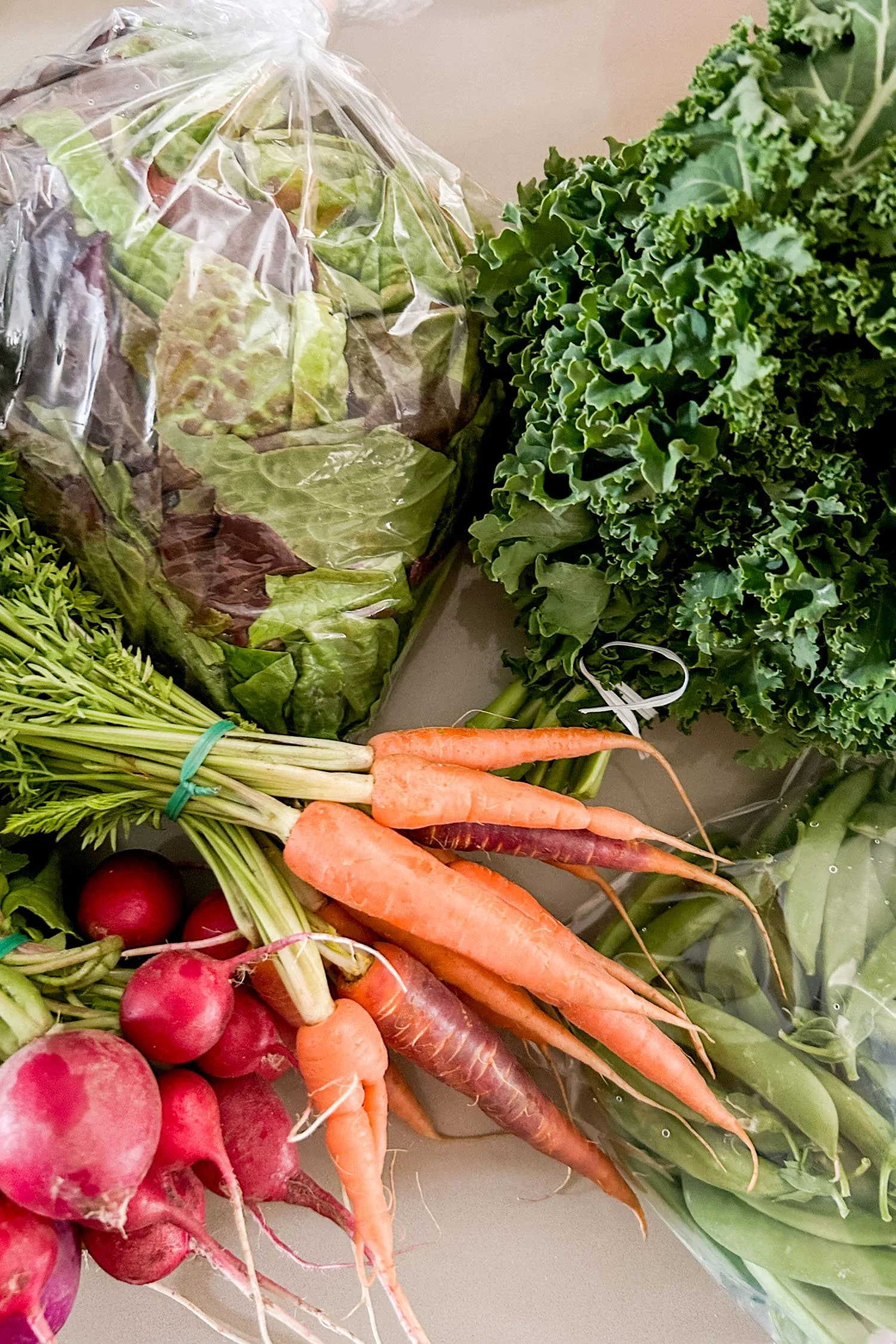 Global Gardens CSA Vegetables | Cotton Cashmere Cat Hair